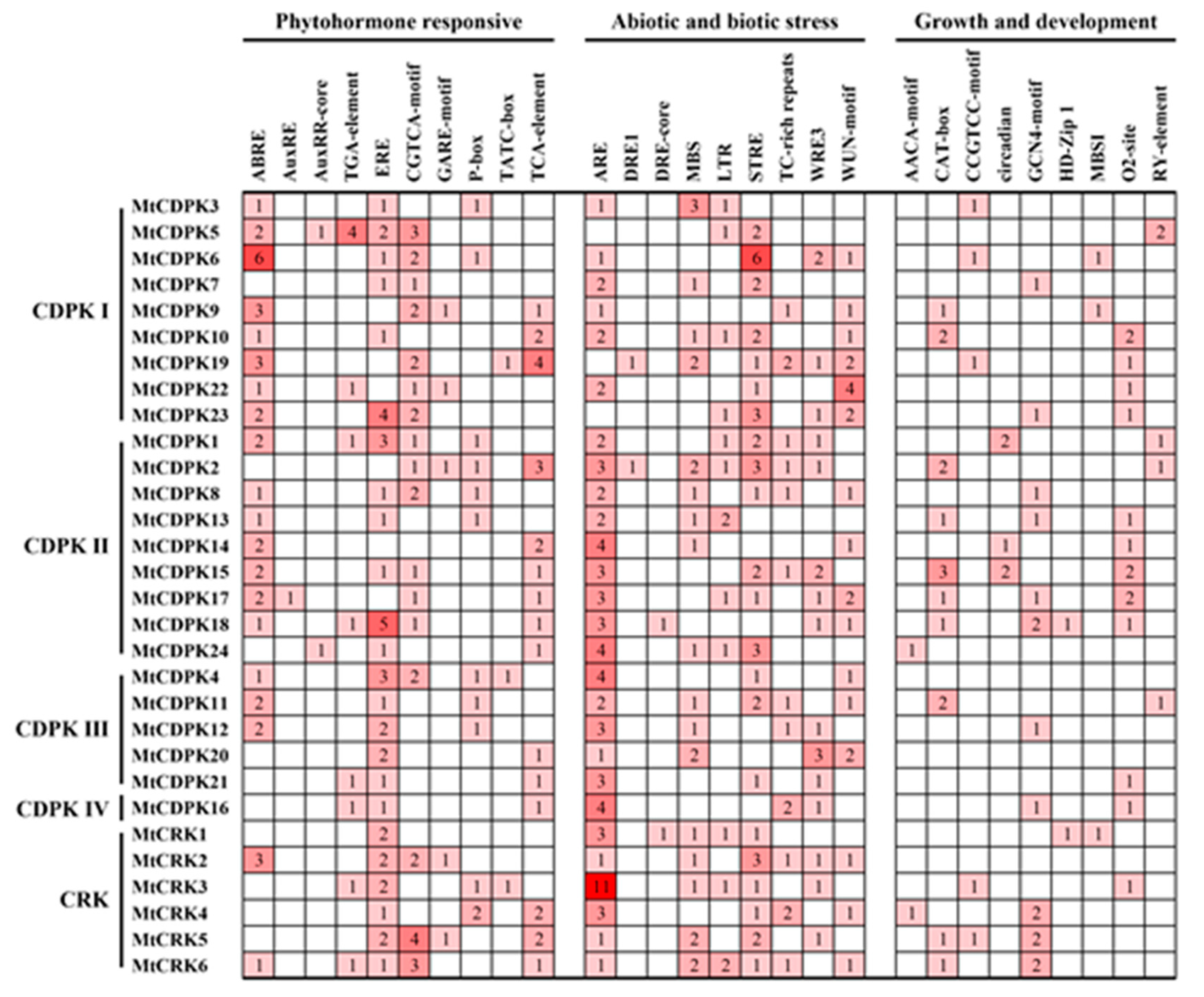 Ijms 22 01044 g004 Ijms 22 01044 g004