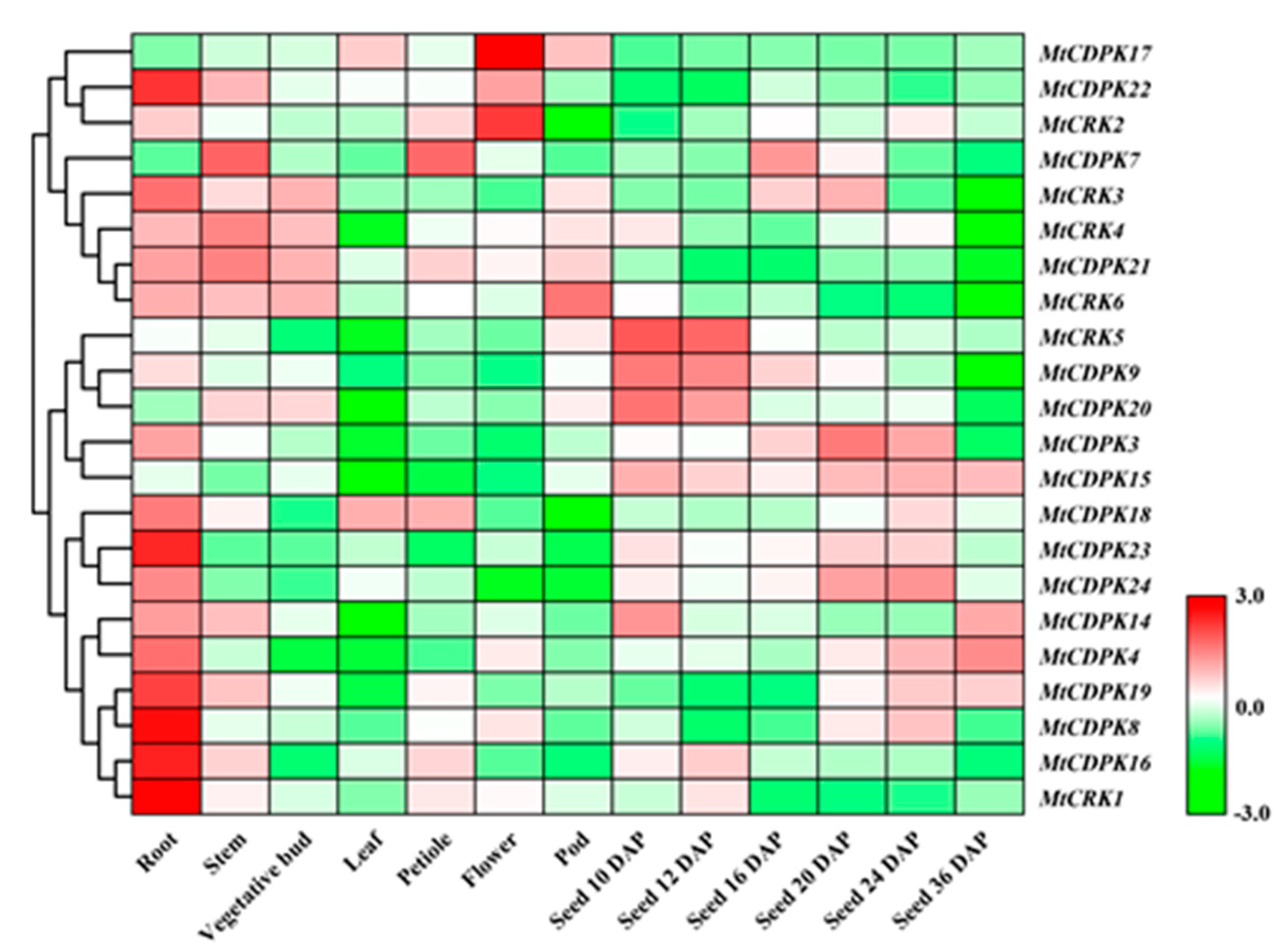 Ijms 22 01044 g005 Ijms 22 01044 g005
