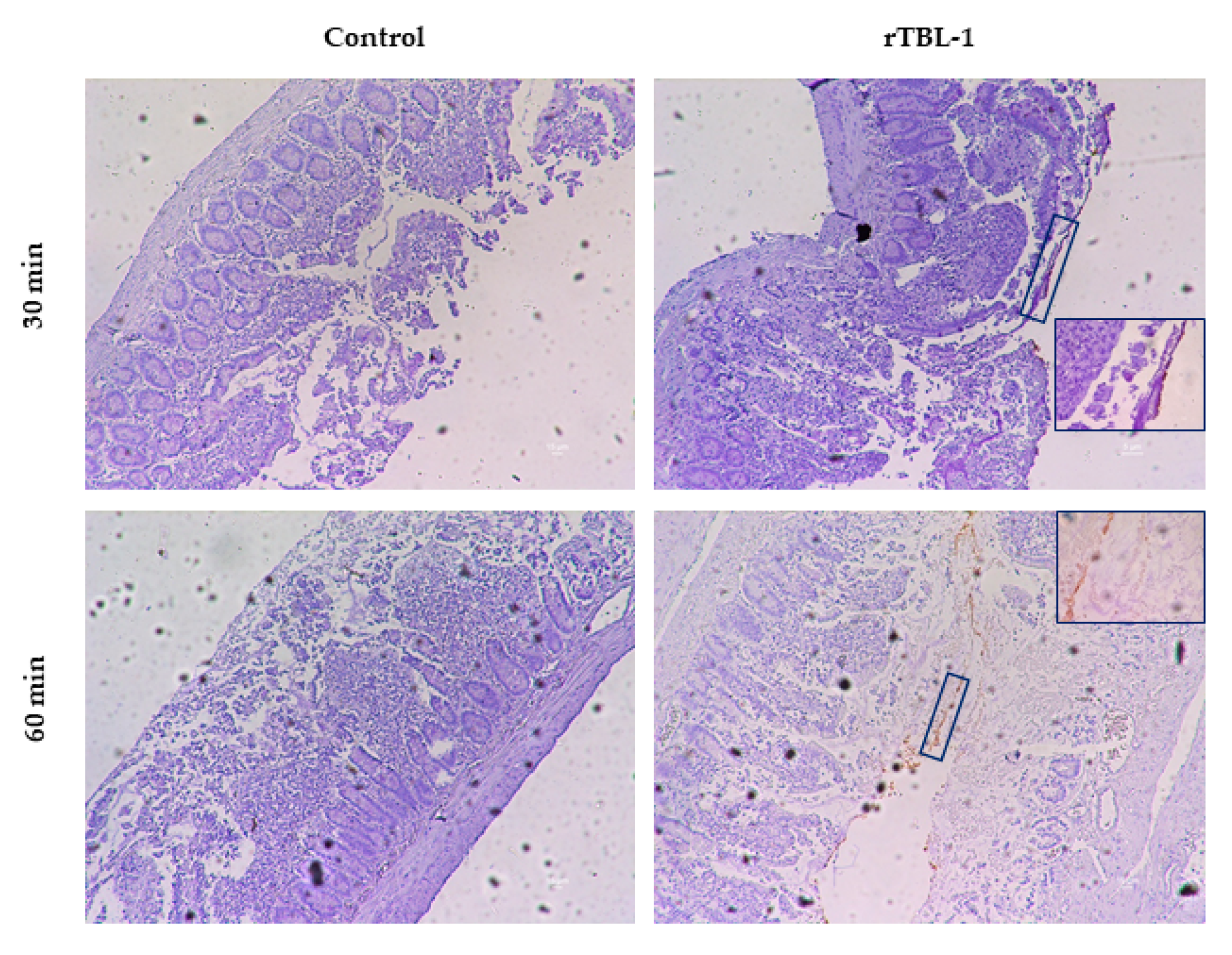 Ijms 22 01049 g008 Ijms 22 01049 g008