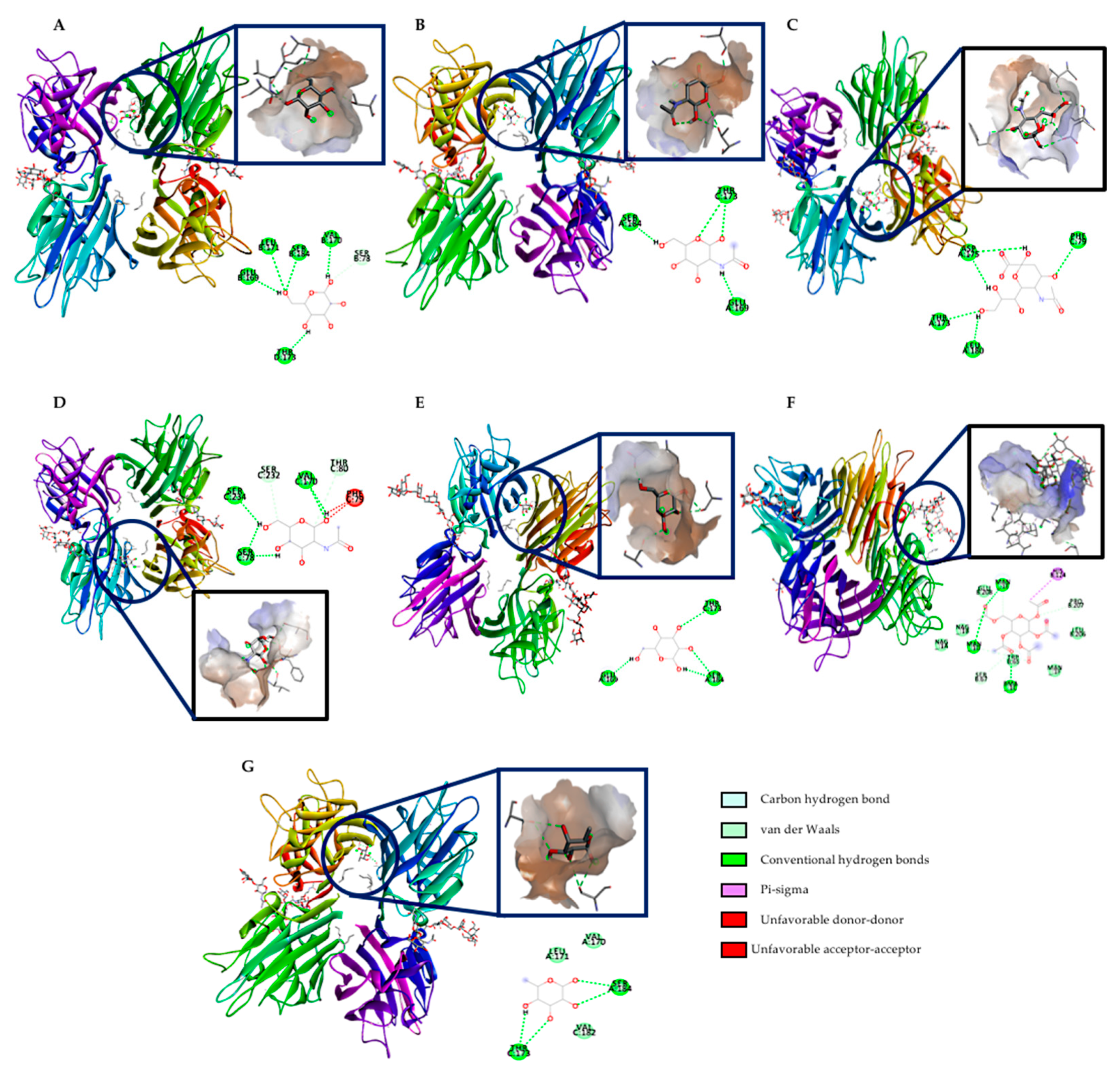 Ijms 22 01049 g009 Ijms 22 01049 g009