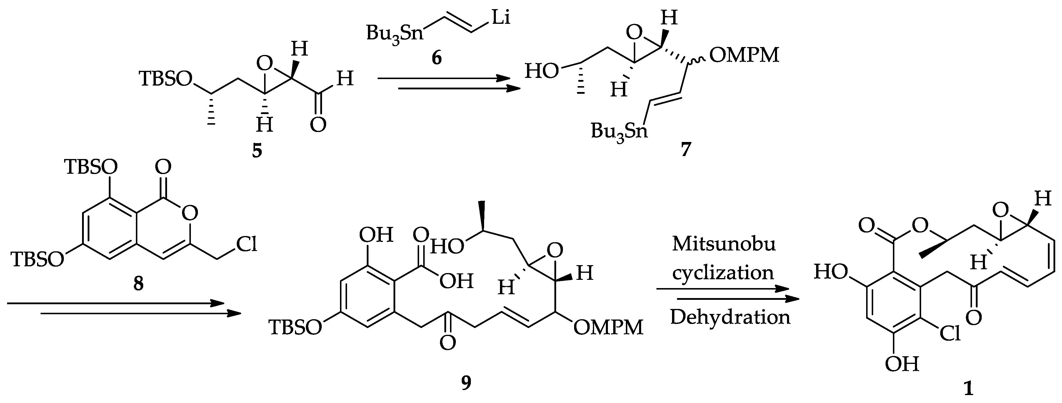 Ijms 22 01052 sch001