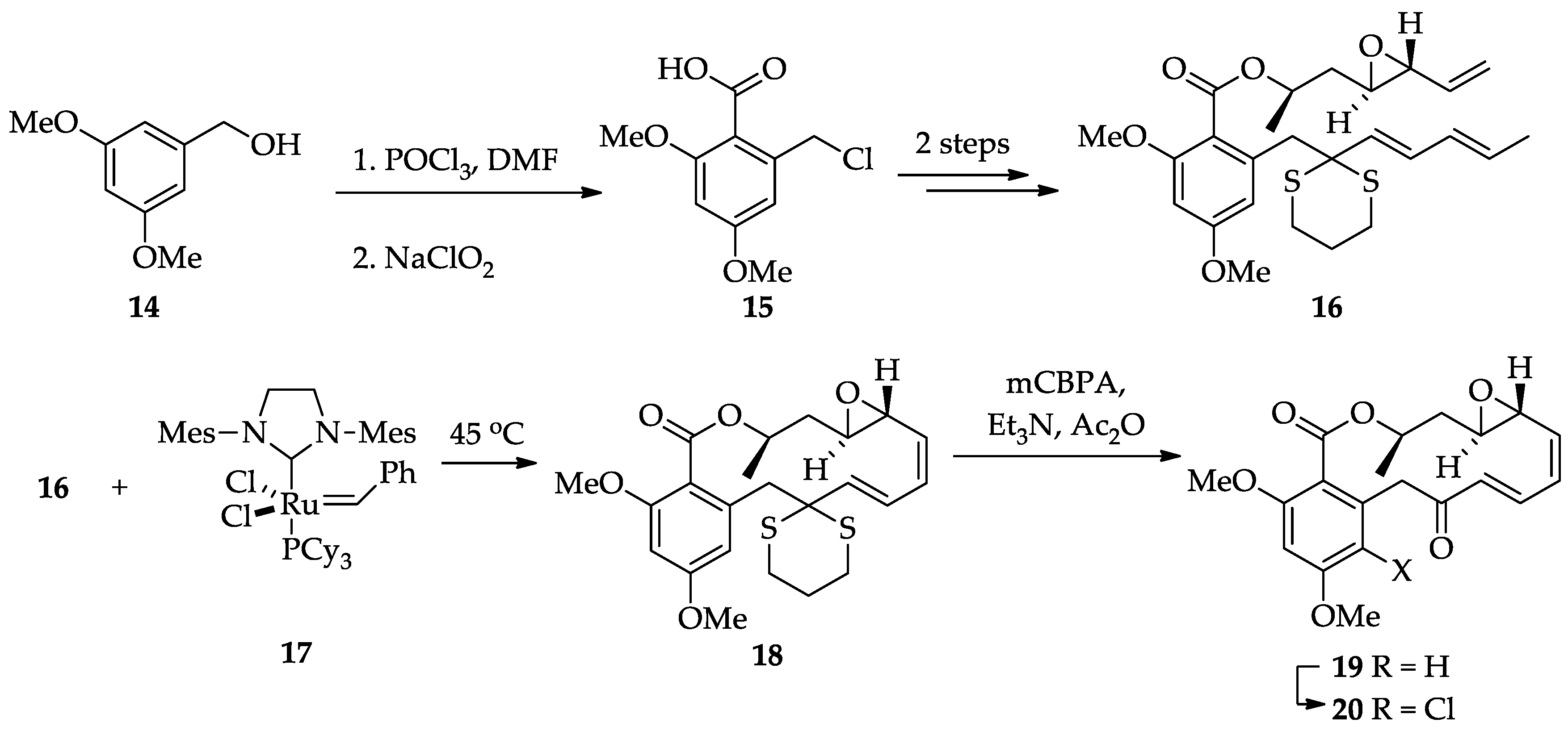 Ijms 22 01052 sch004