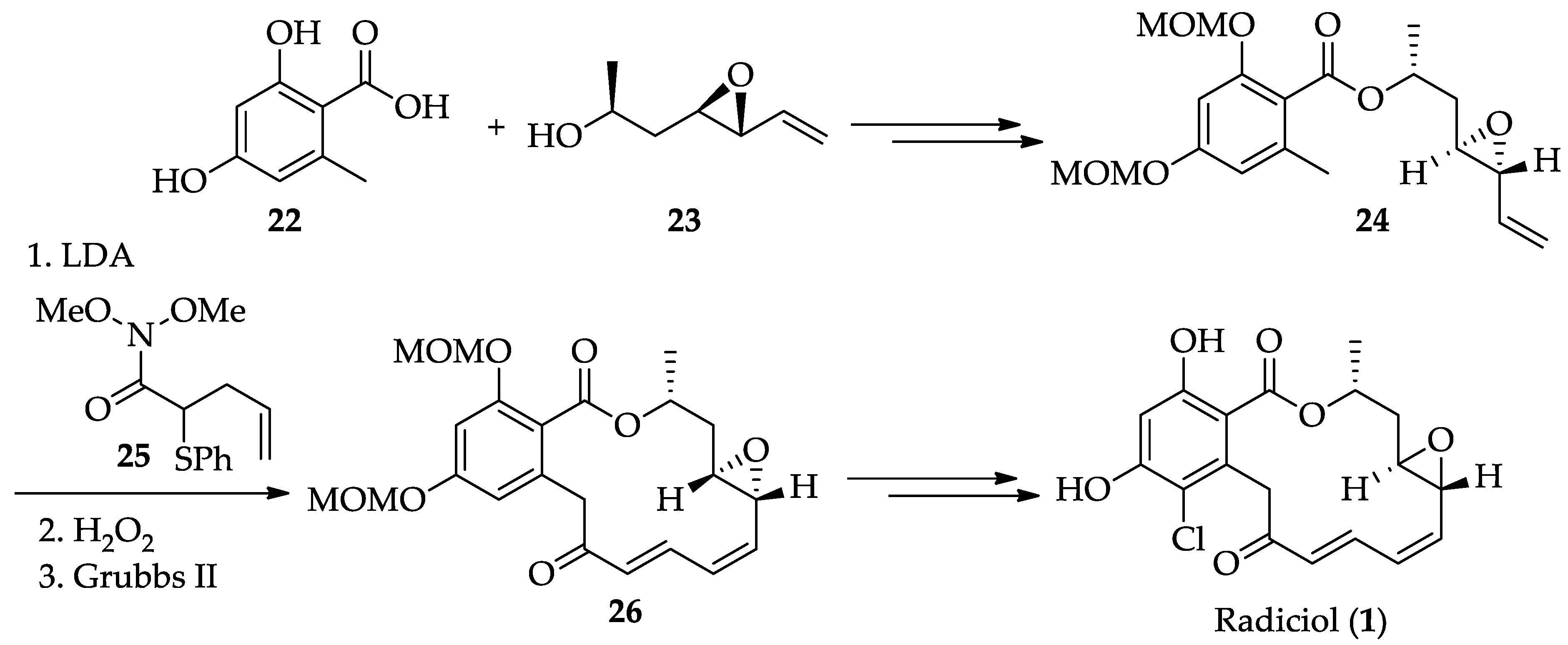 Ijms 22 01052 sch006