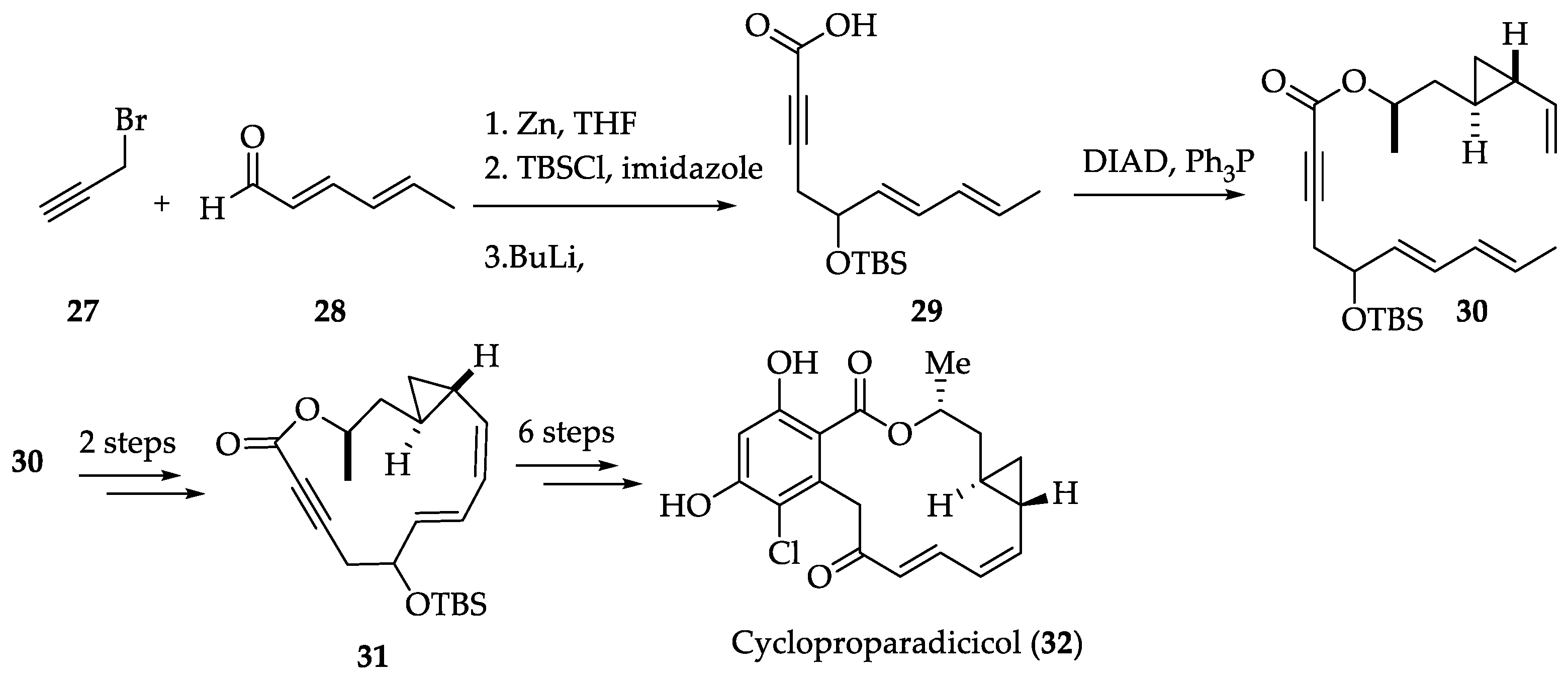 Ijms 22 01052 sch007