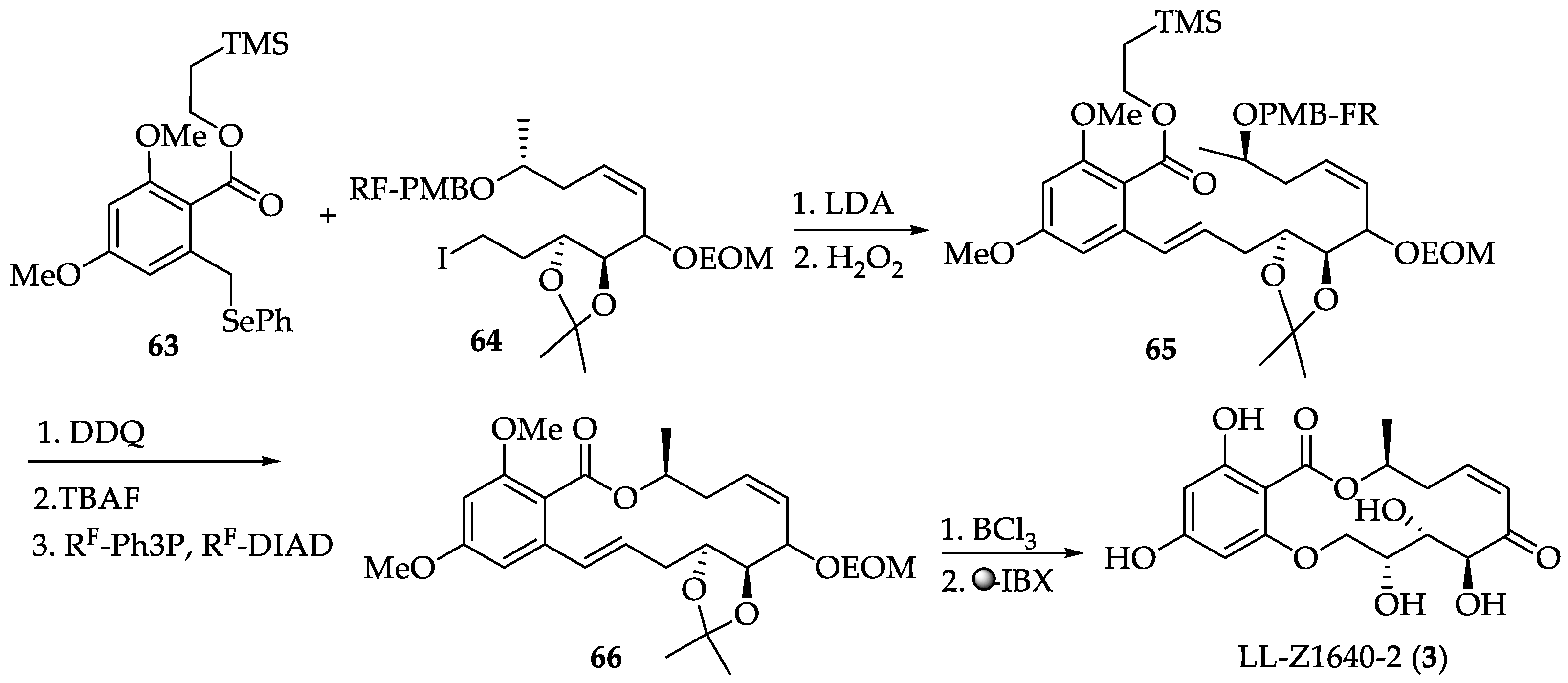 Ijms 22 01052 sch011