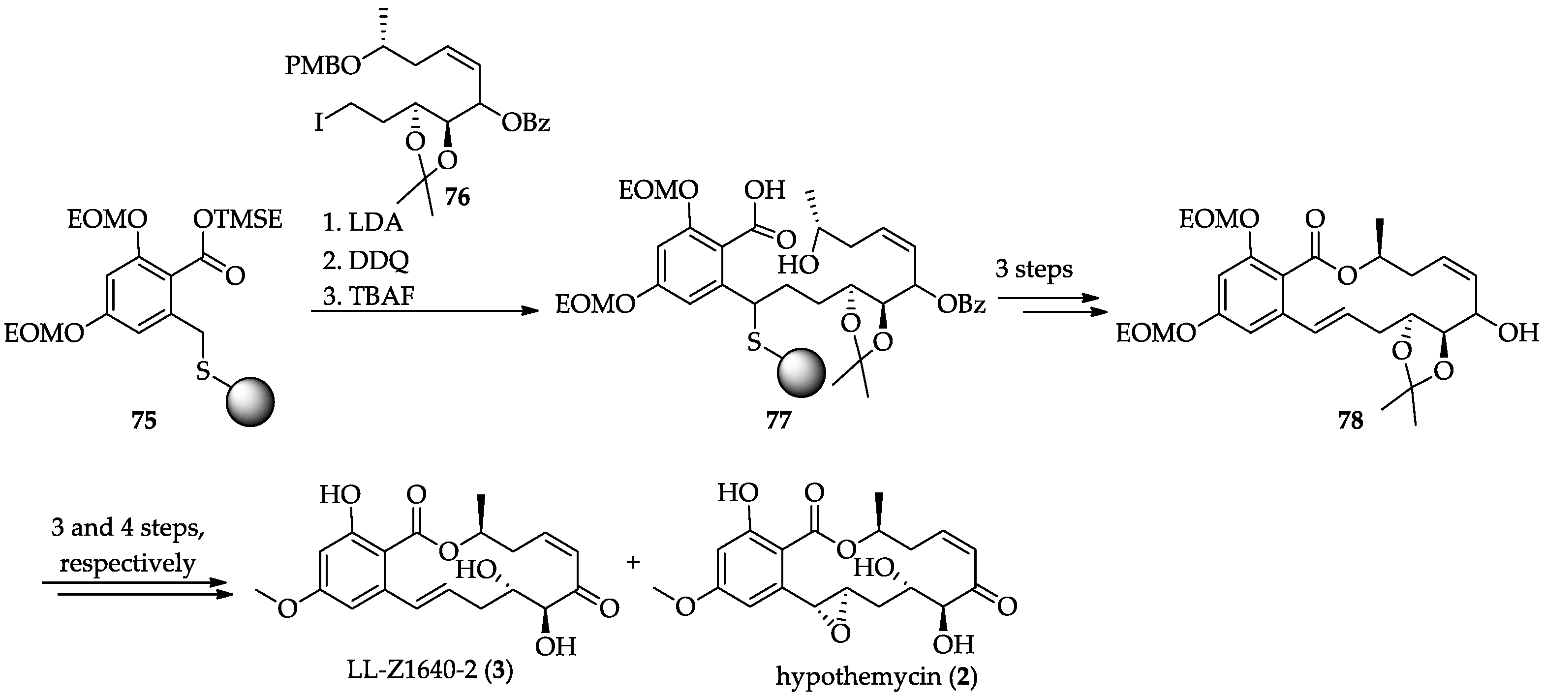 Ijms 22 01052 sch015