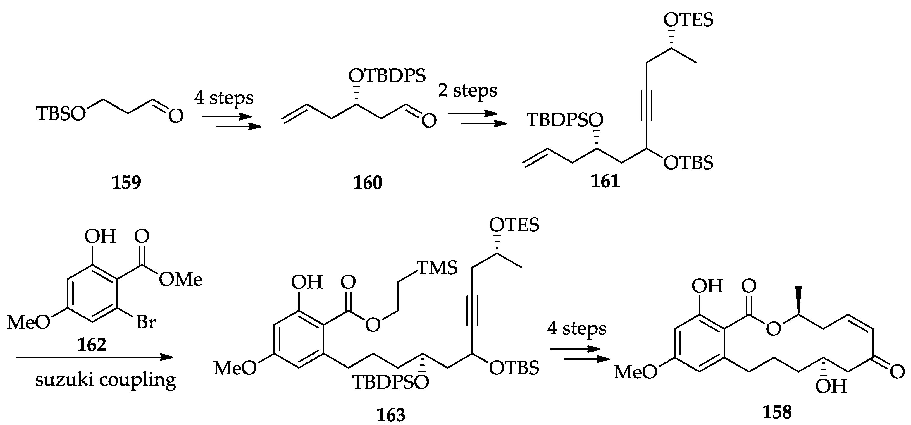 Ijms 22 01052 sch035