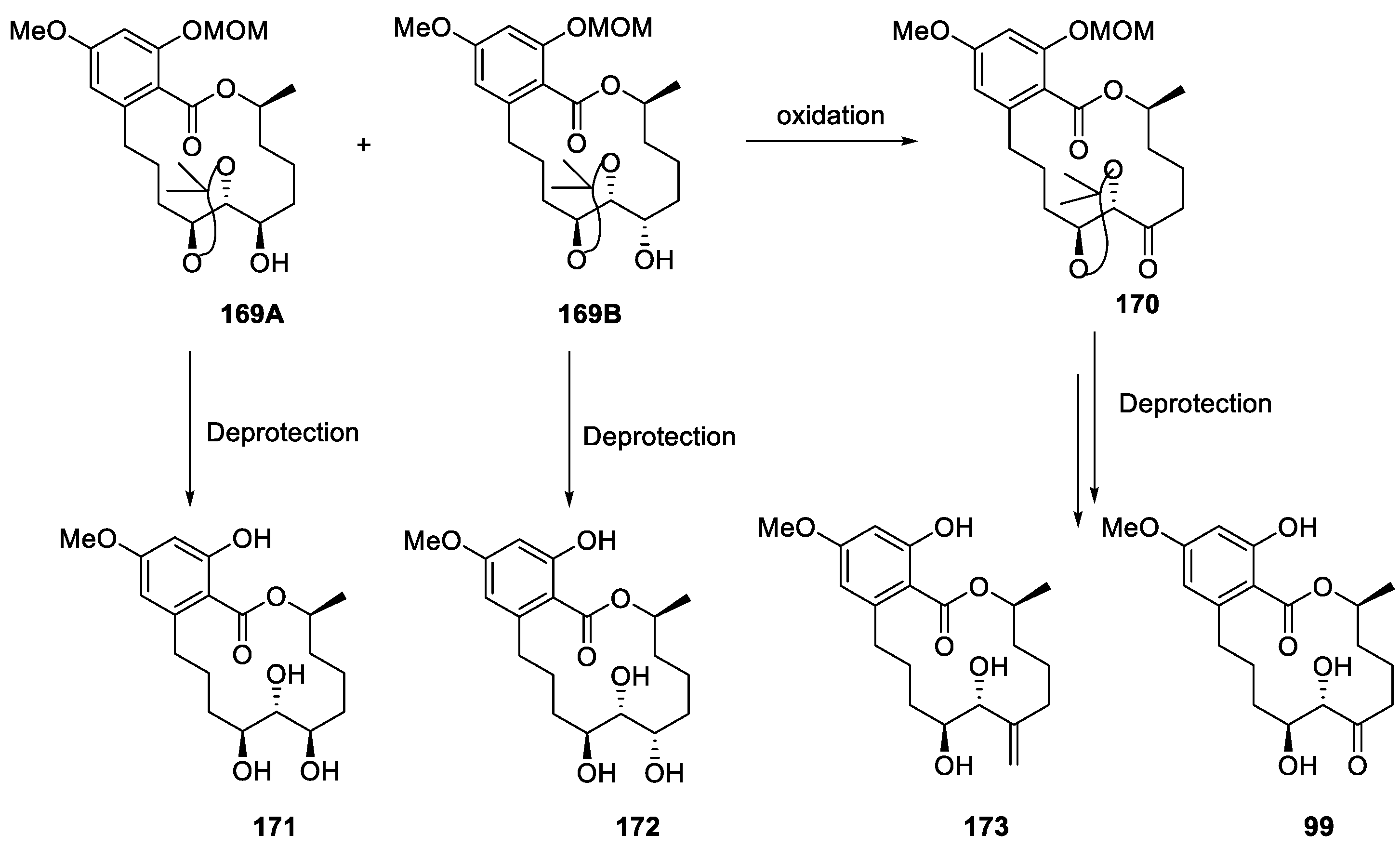 Ijms 22 01052 sch038