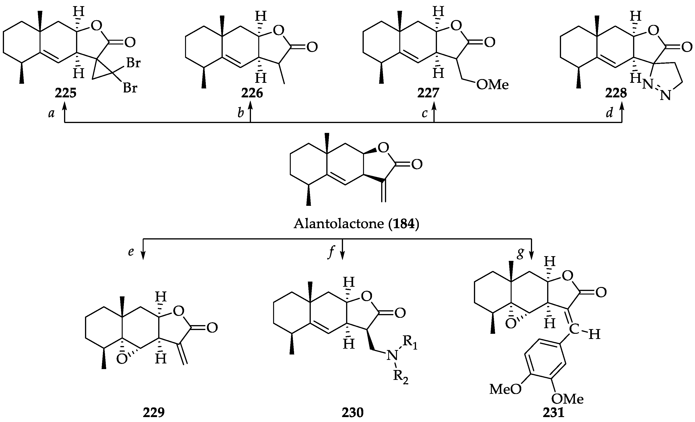 Ijms 22 01052 sch048
