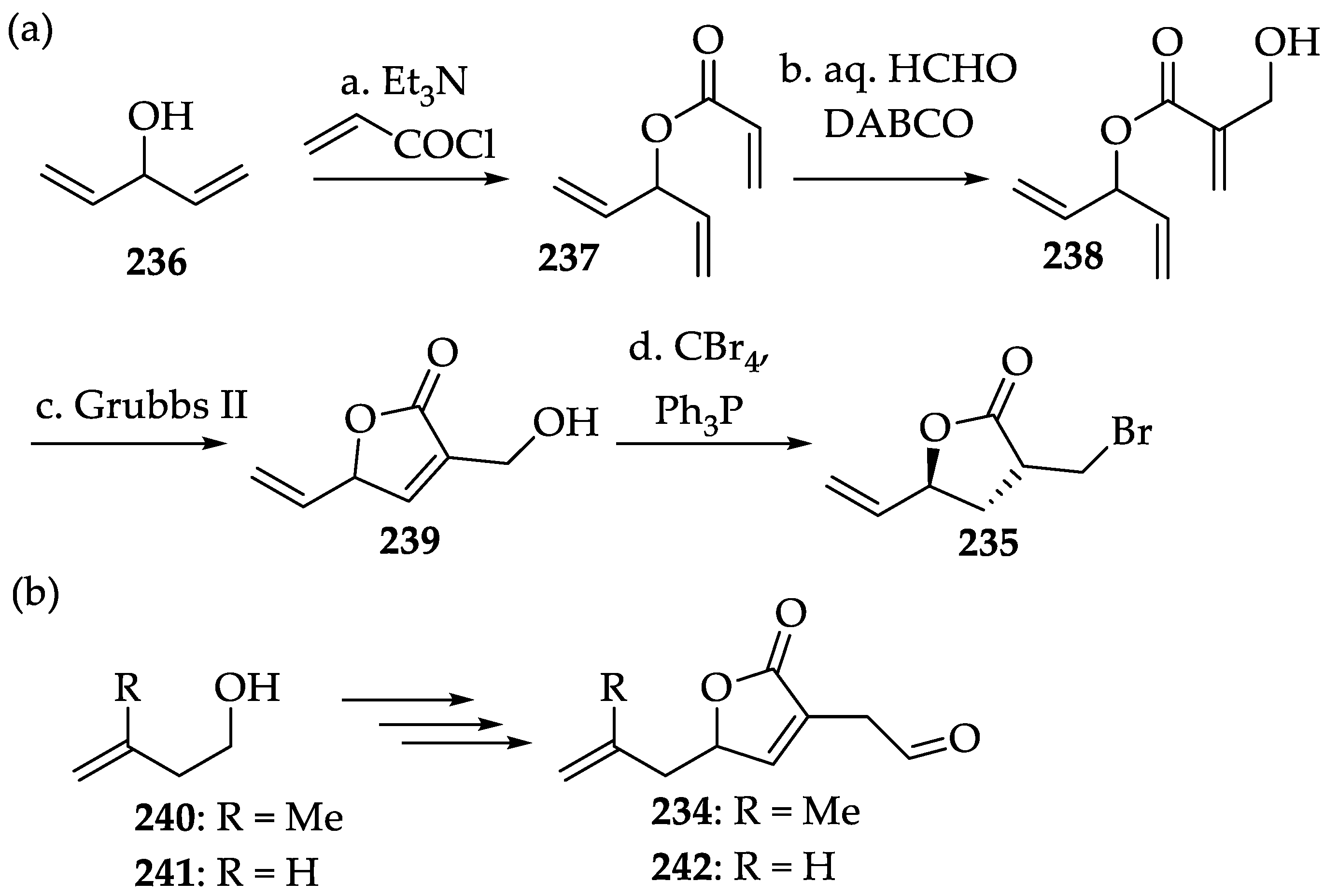 Ijms 22 01052 sch049