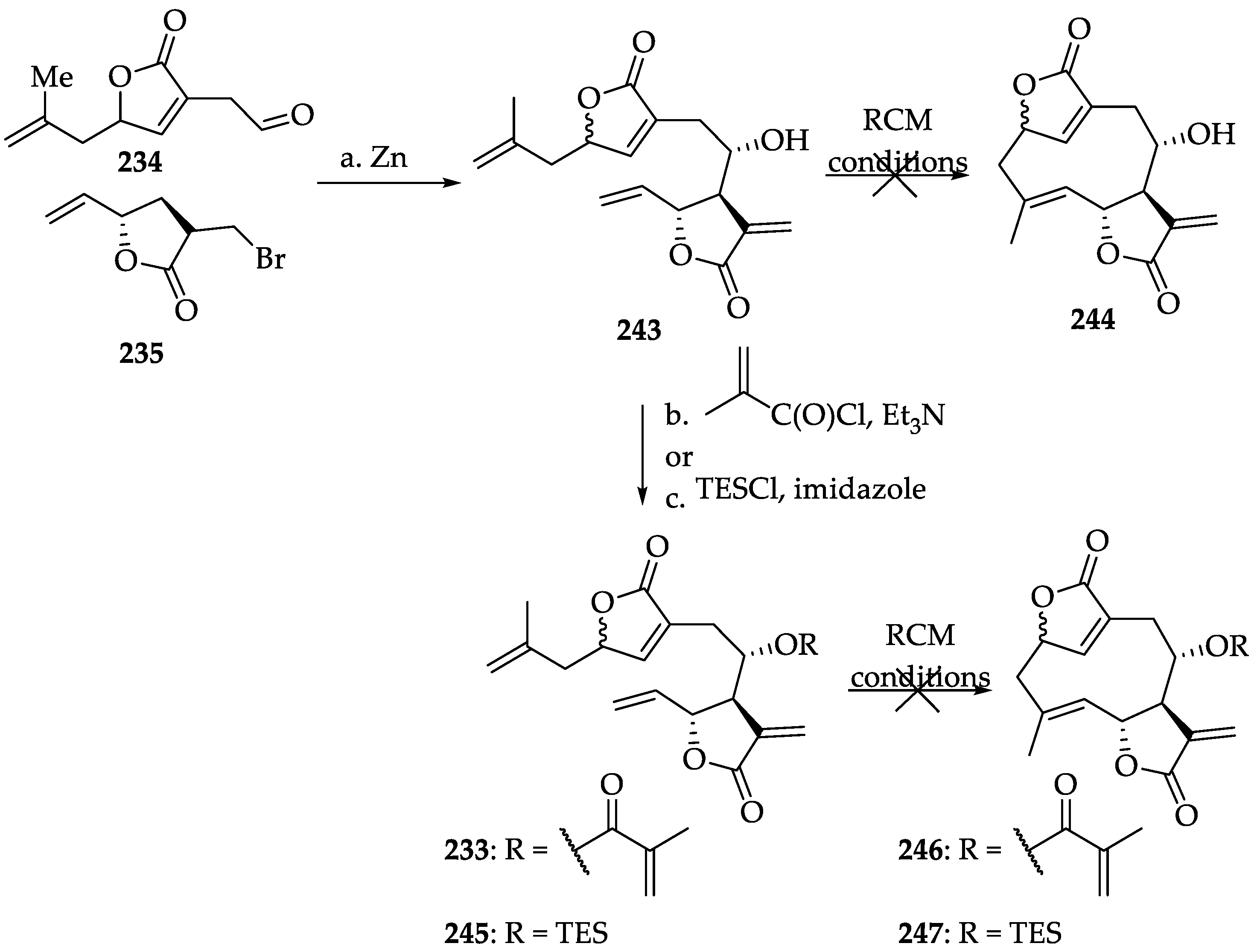 Ijms 22 01052 sch050