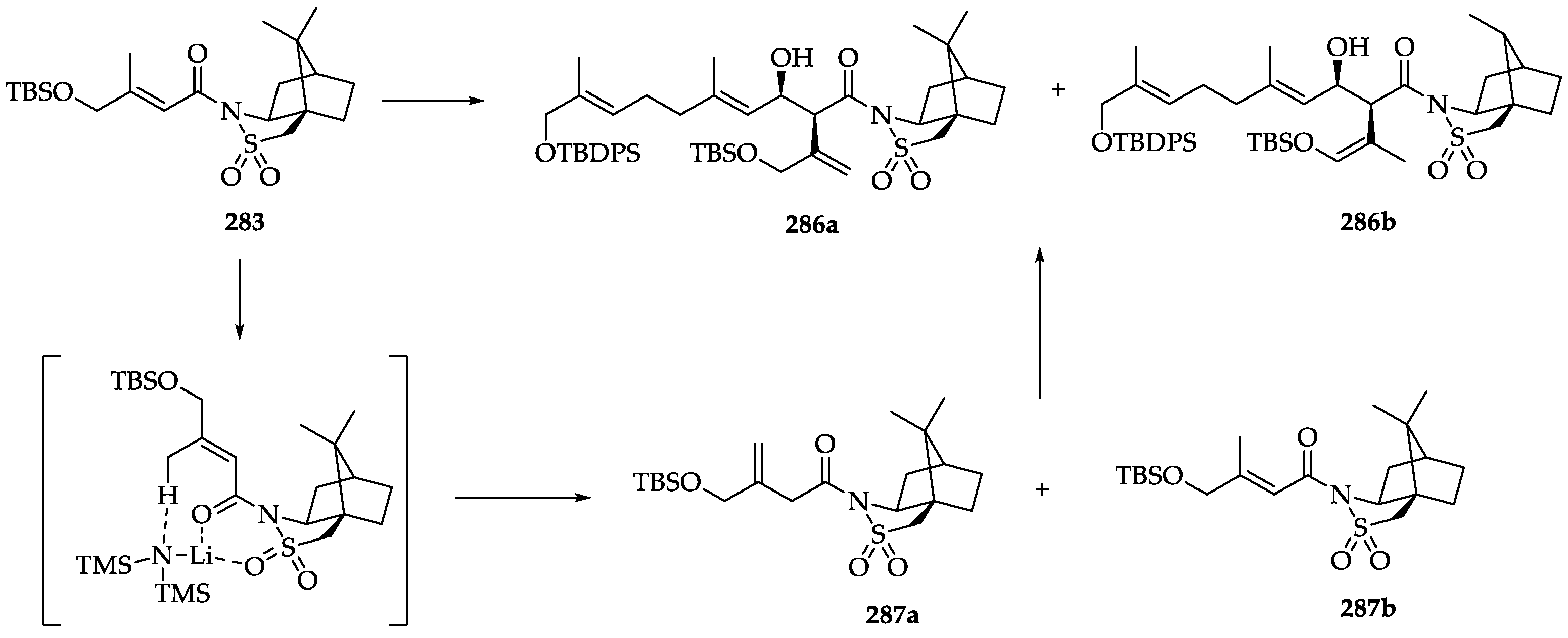 Ijms 22 01052 sch060
