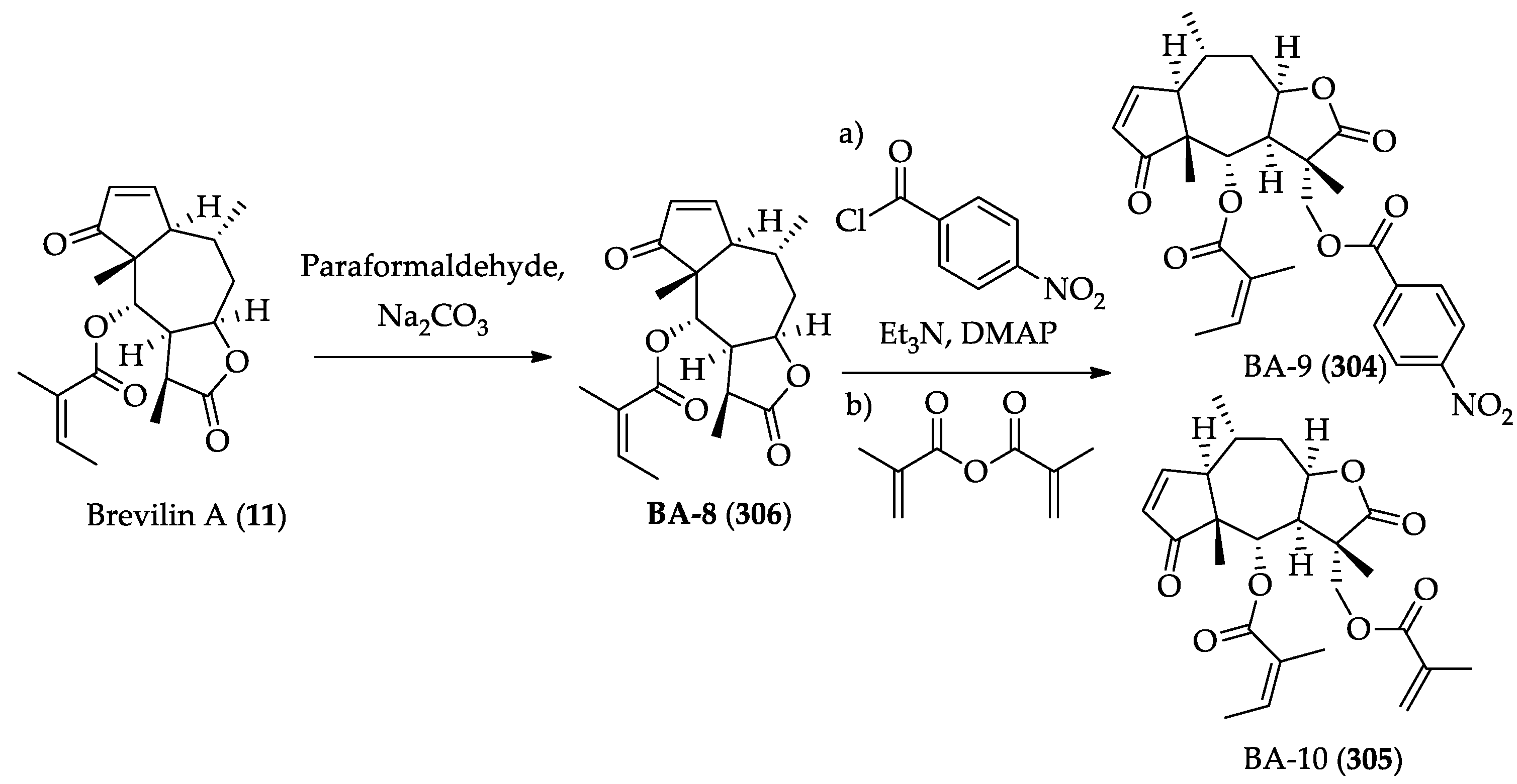 Ijms 22 01052 sch067