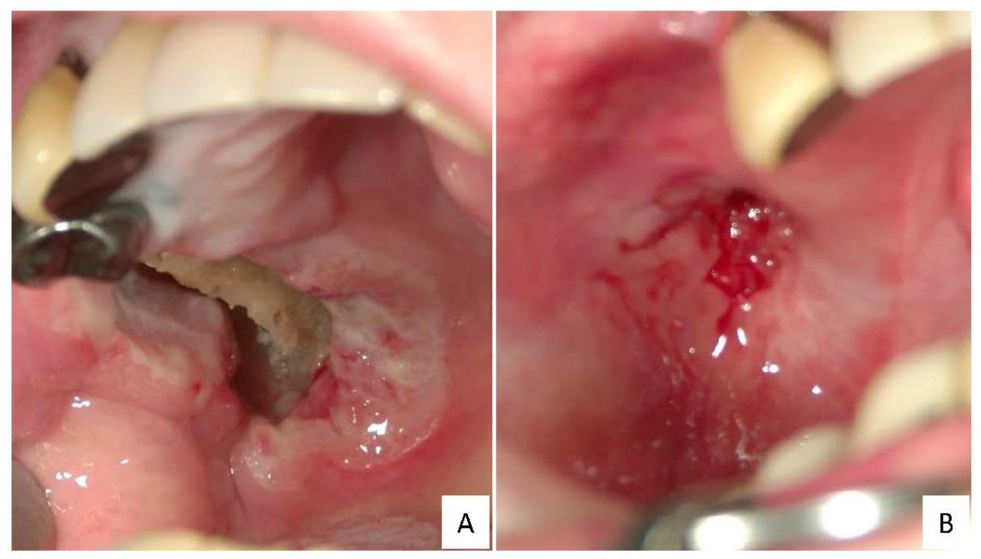 Ijms 22 01053 g001 Ijms 22 01053 g001