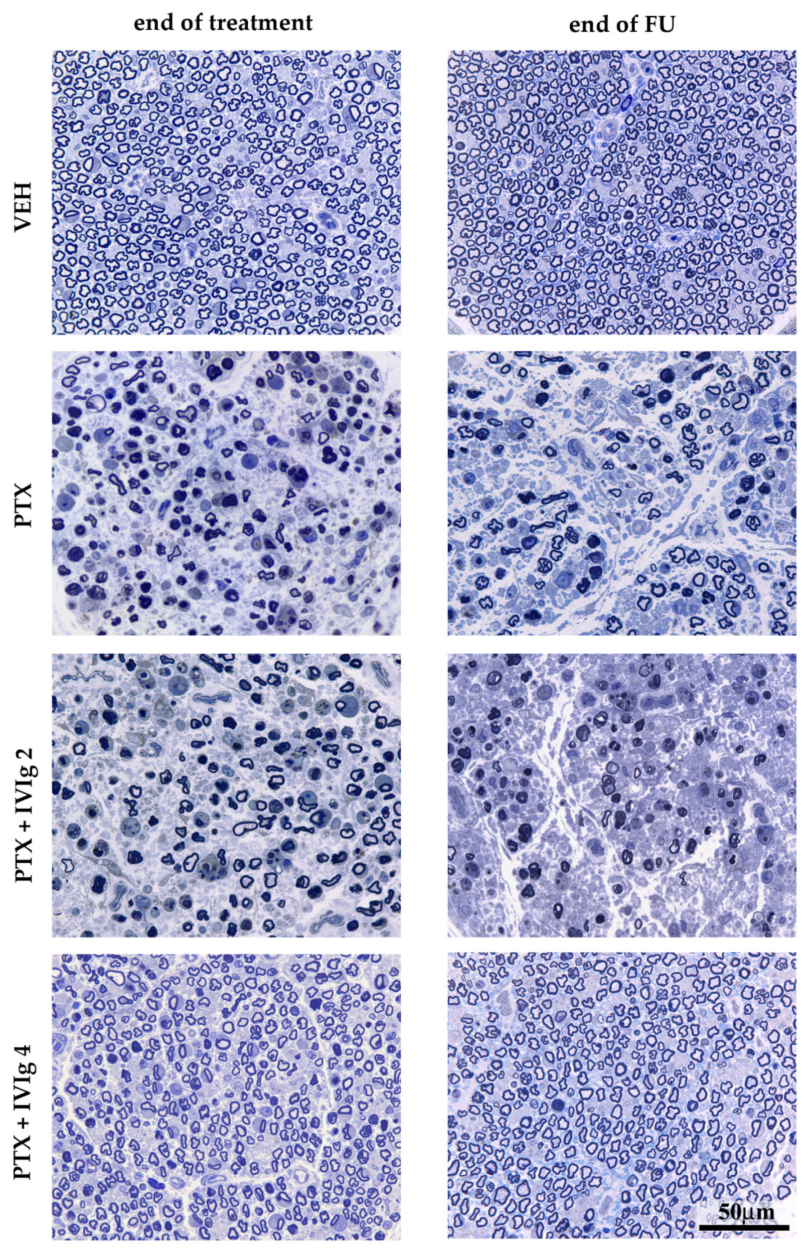 Ijms 22 01058 g005