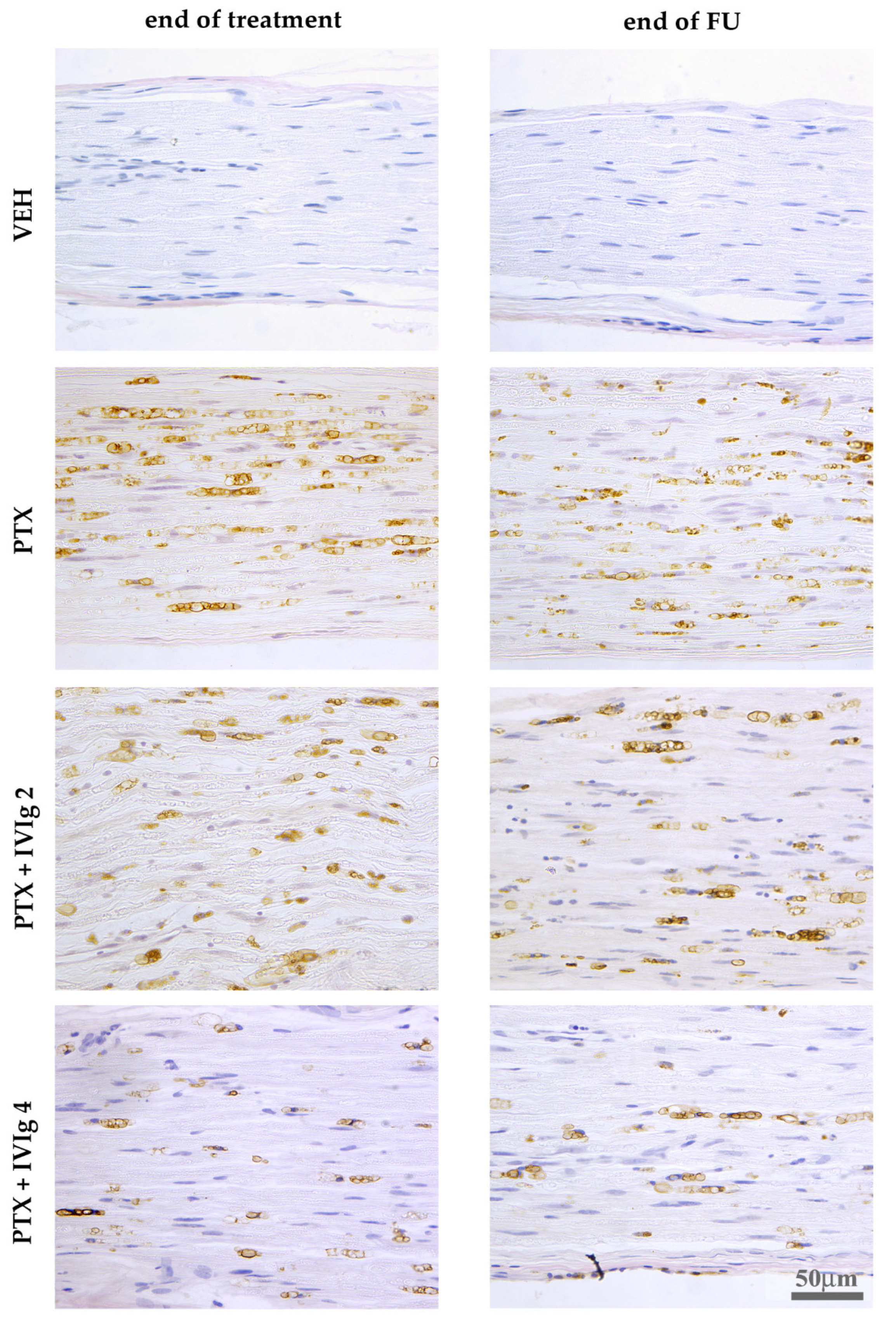 Ijms 22 01058 g006