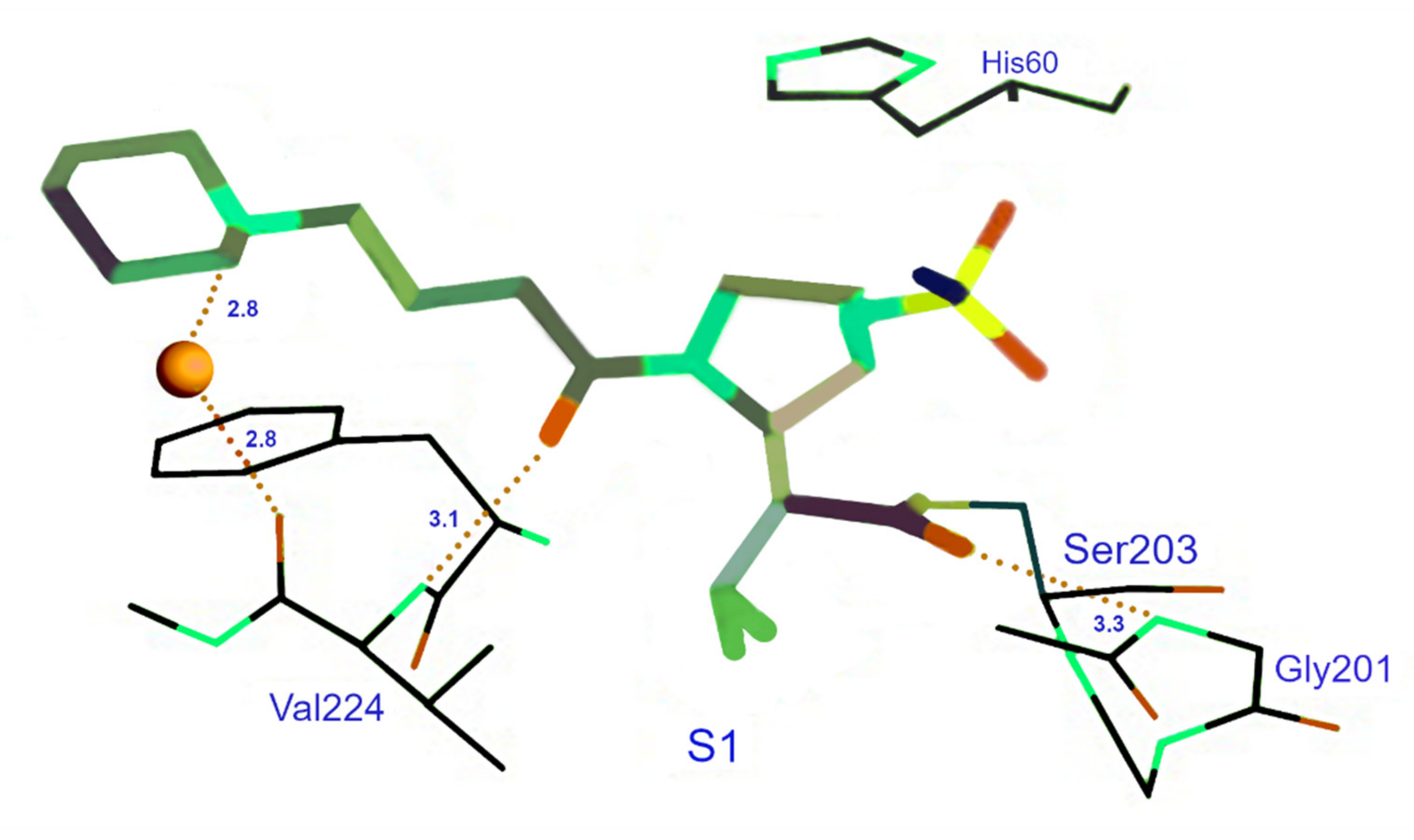 Ijms 22 01065 g003 Ijms 22 01065 g003