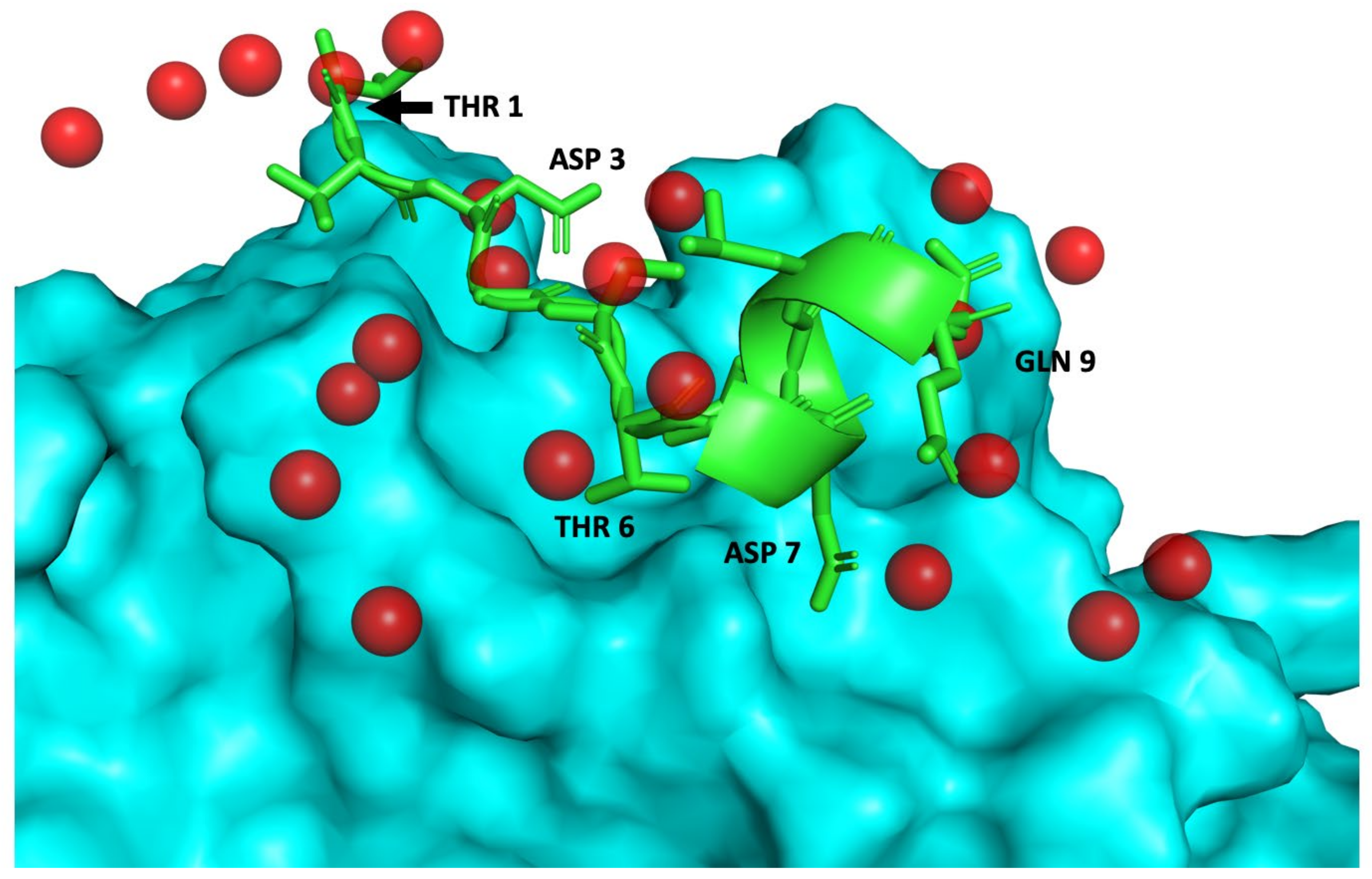 Ijms 22 01066 g005 Ijms 22 01066 g005