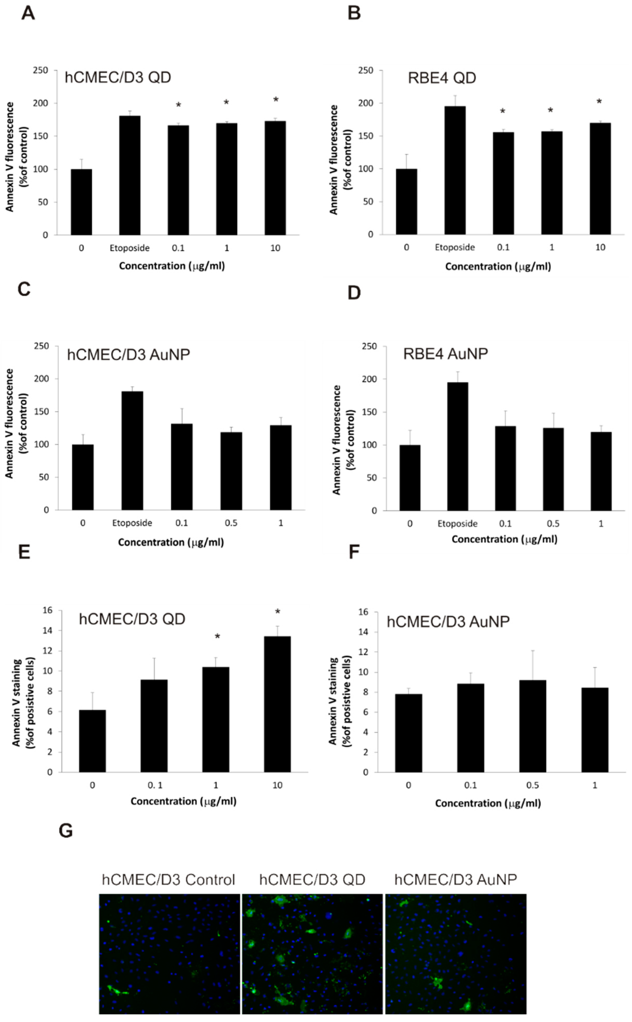Ijms 22 01068 g006 Ijms 22 01068 g006