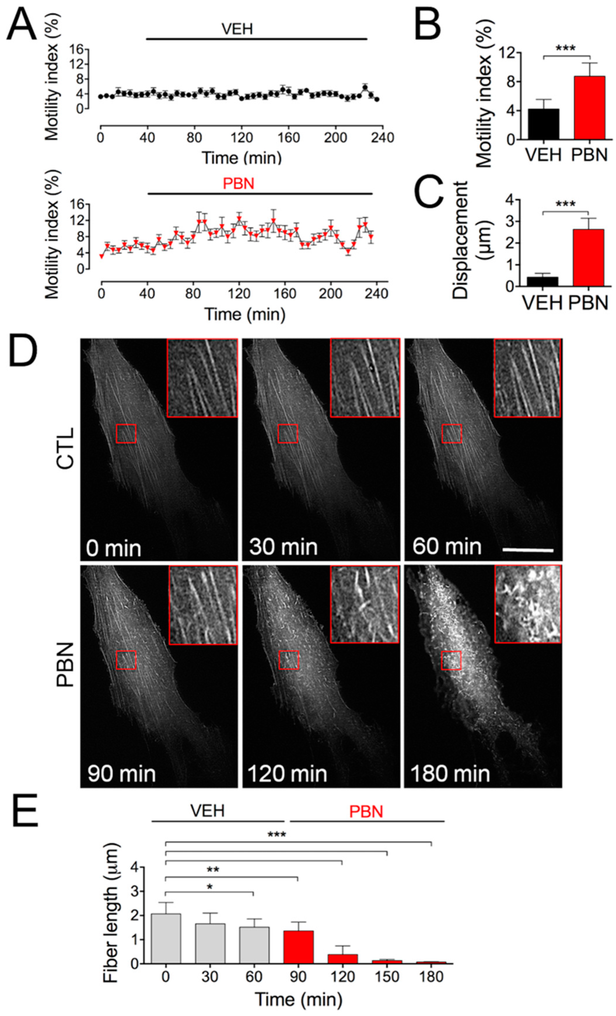 Ijms 22 01069 g005 Ijms 22 01069 g005