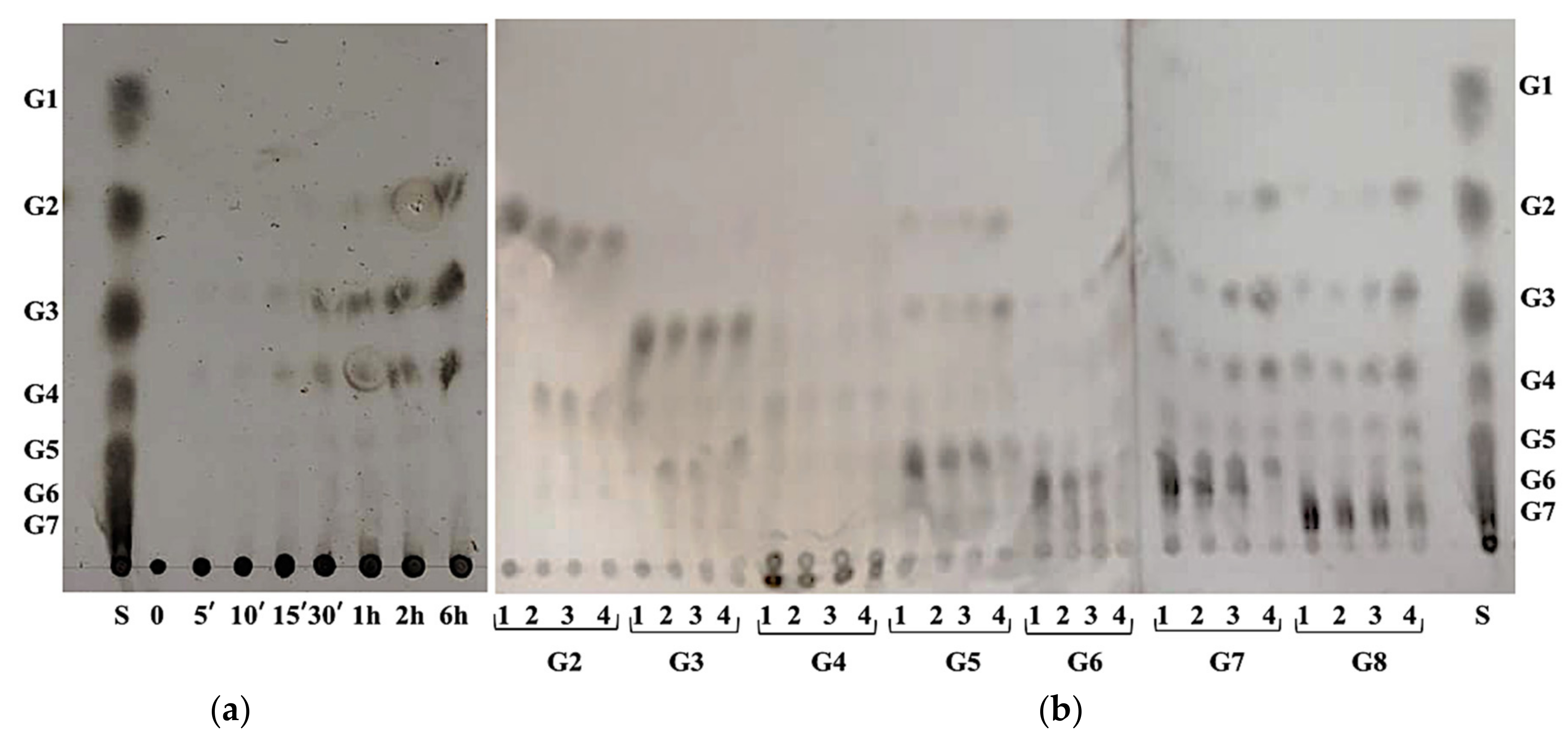 Ijms 22 01070 g006 550