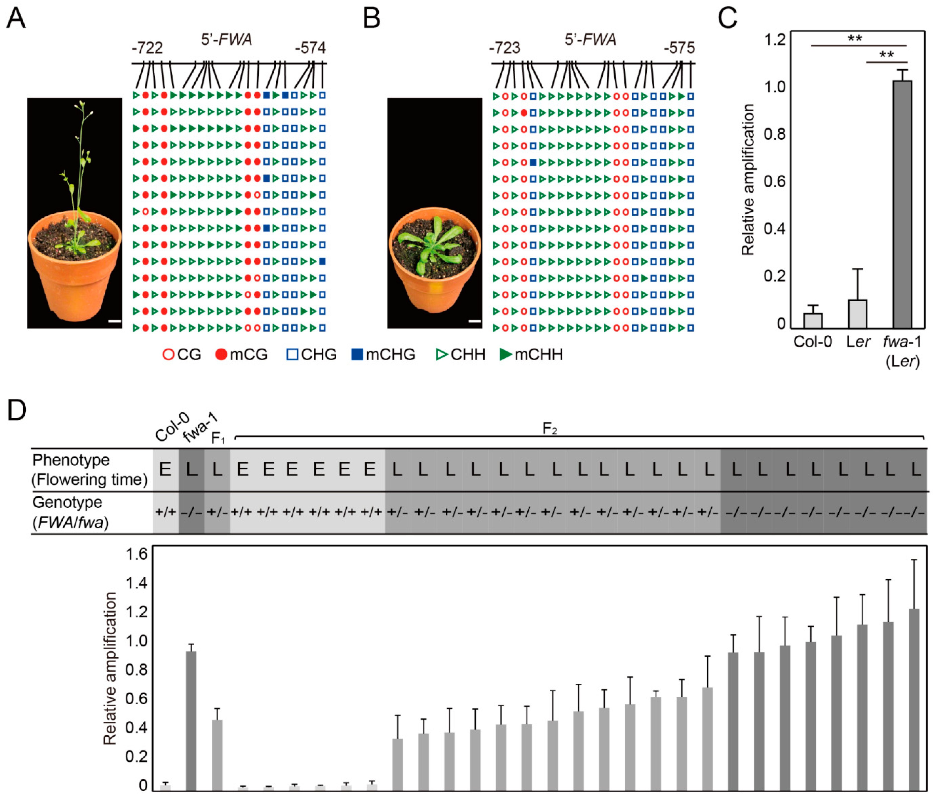 Ijms 22 01072 g003 Ijms 22 01072 g003