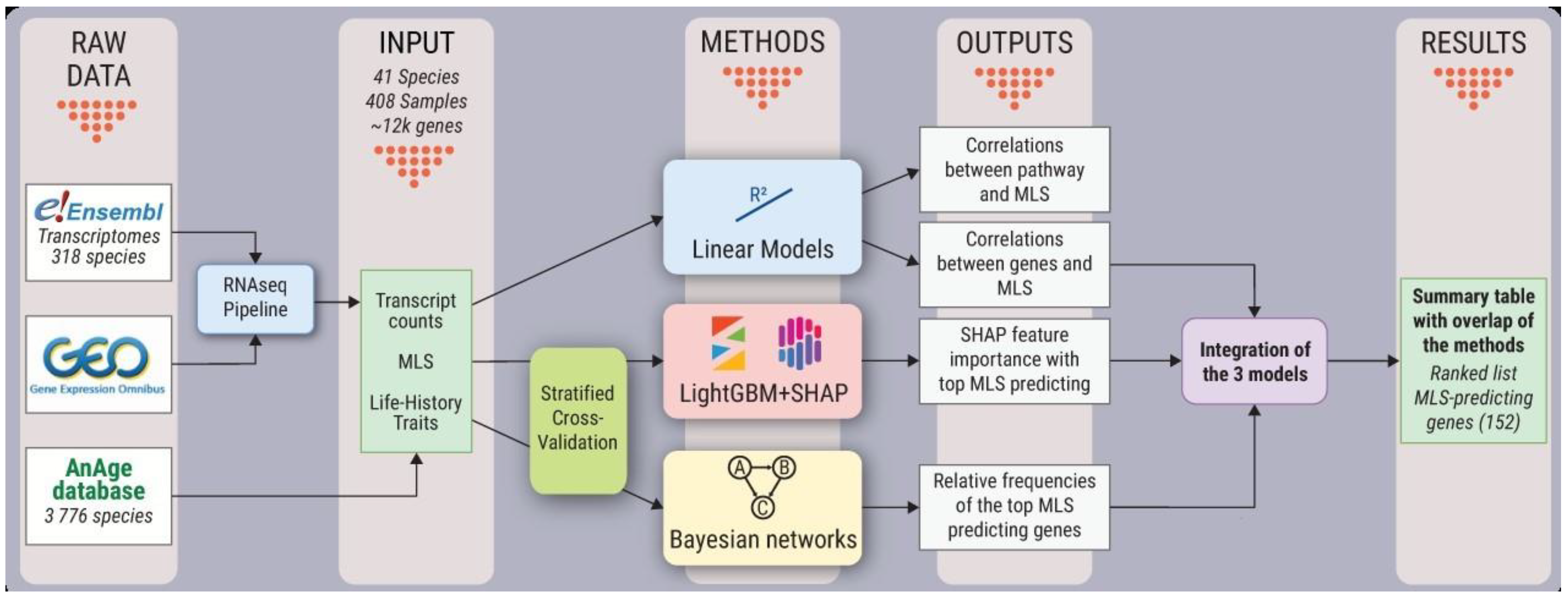 Ijms 22 01073 g001