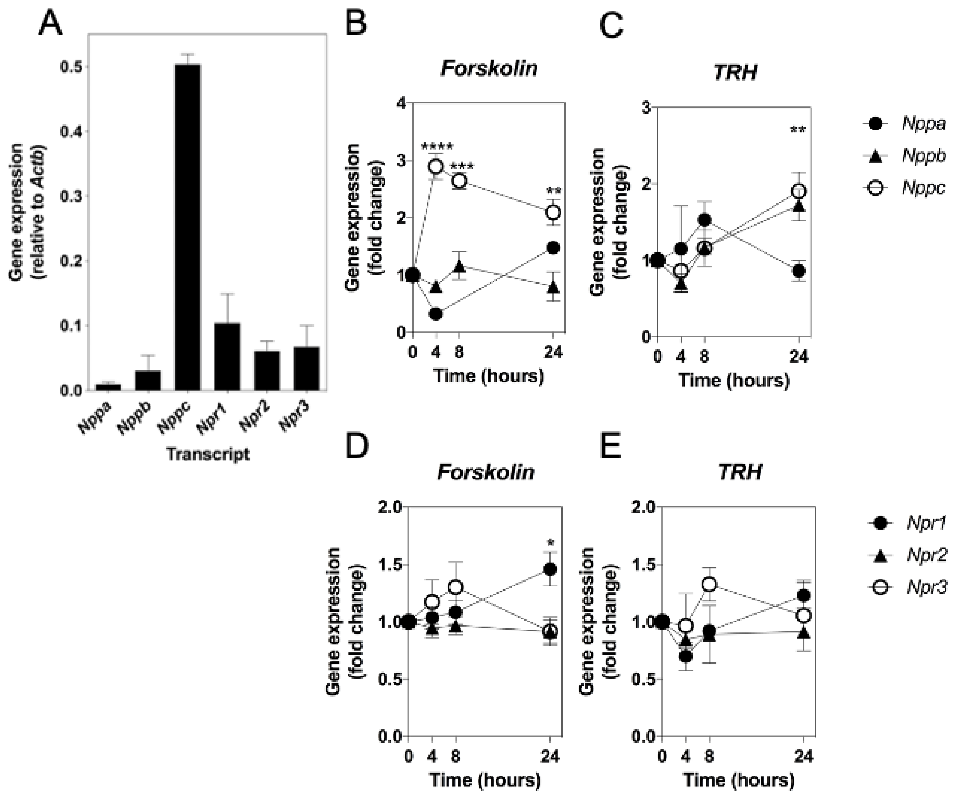 Ijms 22 01076 g001 Ijms 22 01076 g001