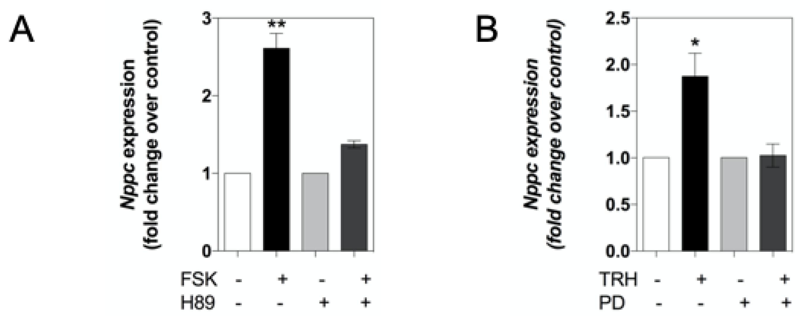 Ijms 22 01076 g002 Ijms 22 01076 g002