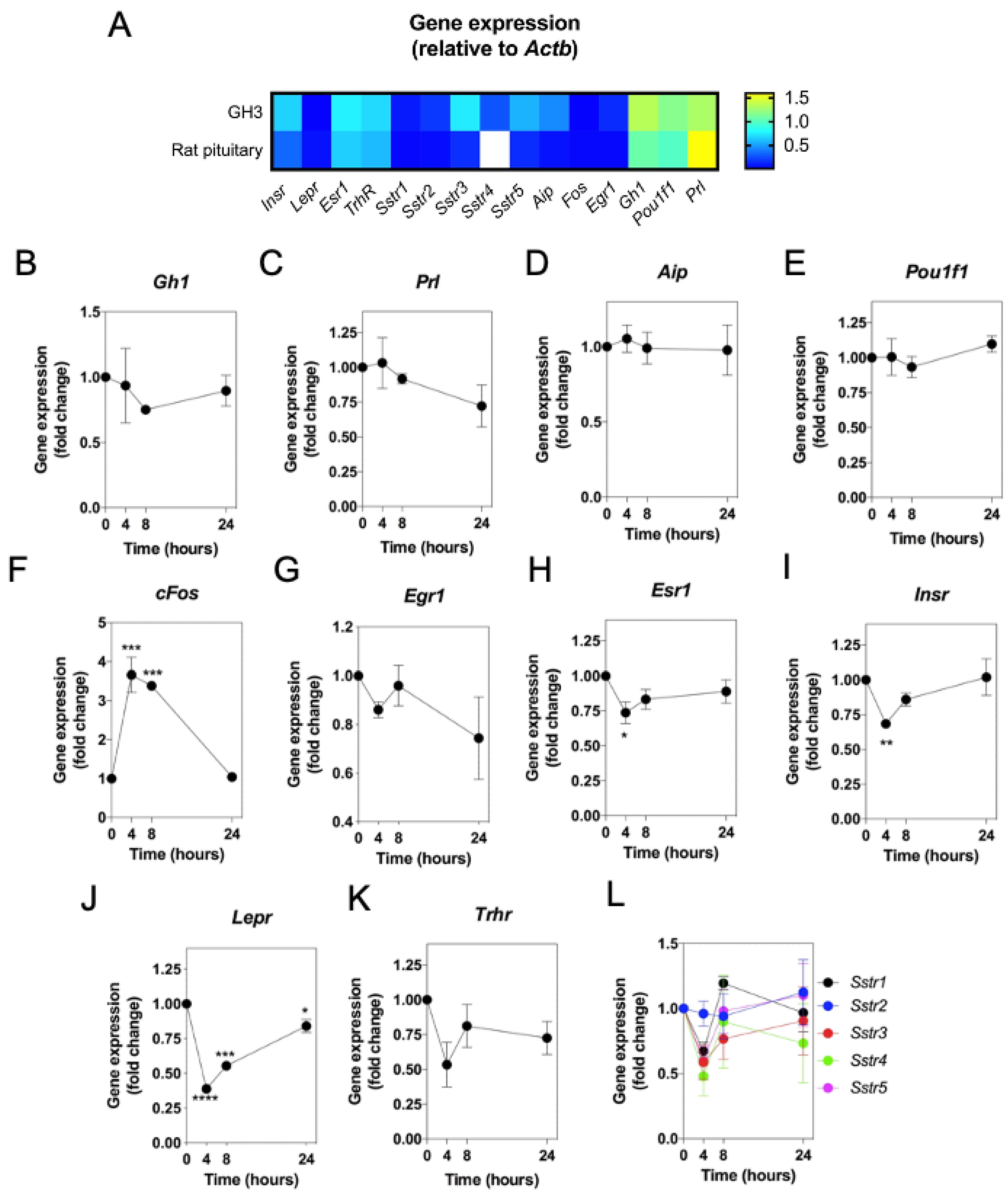 Ijms 22 01076 g003 Ijms 22 01076 g003