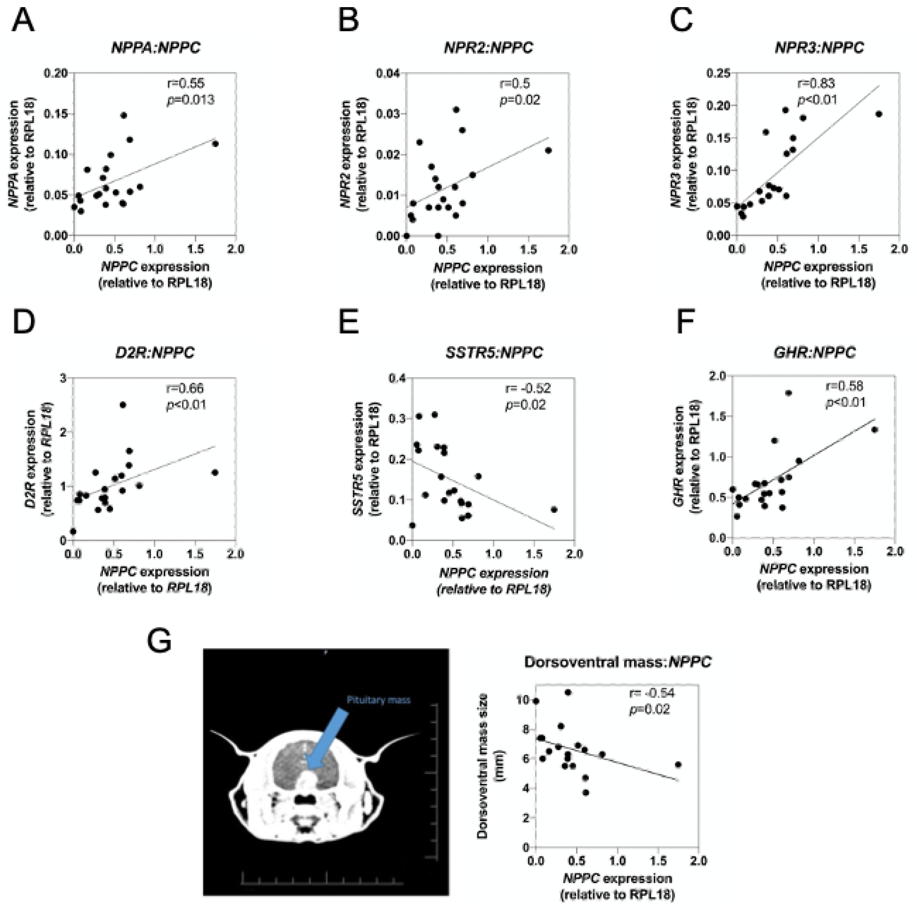 Ijms 22 01076 g006 Ijms 22 01076 g006