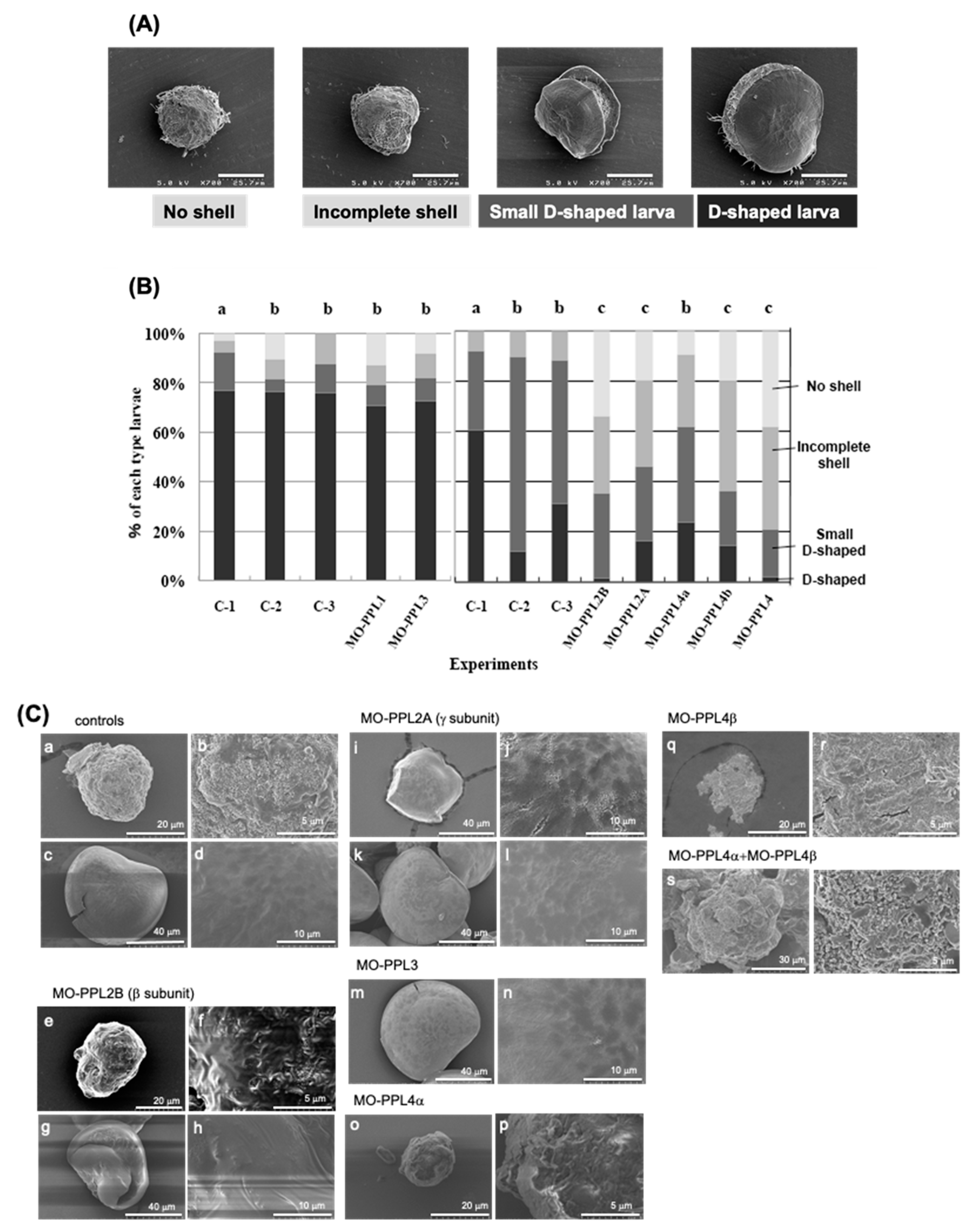 Ijms 22 01081 g001