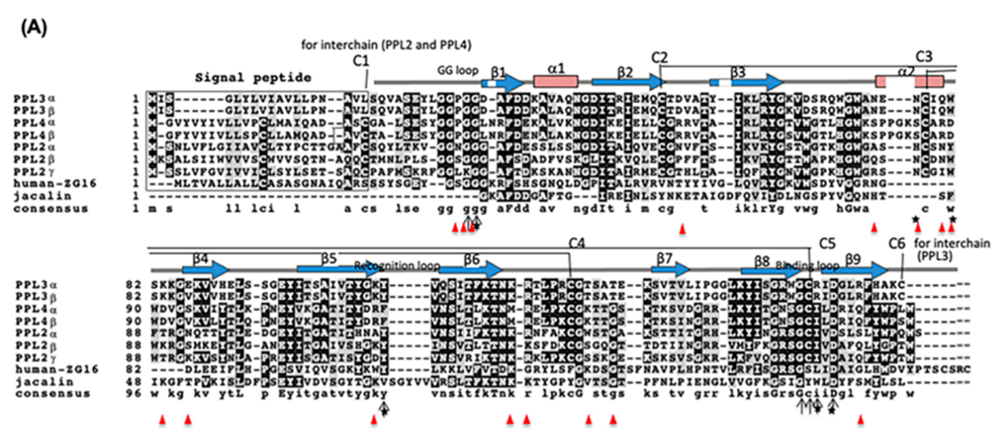 Ijms 22 01081 g004a