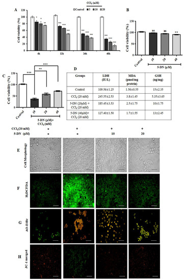 5-O-Demethylnobiletin Alleviates CCl4-Induced Acute Liver