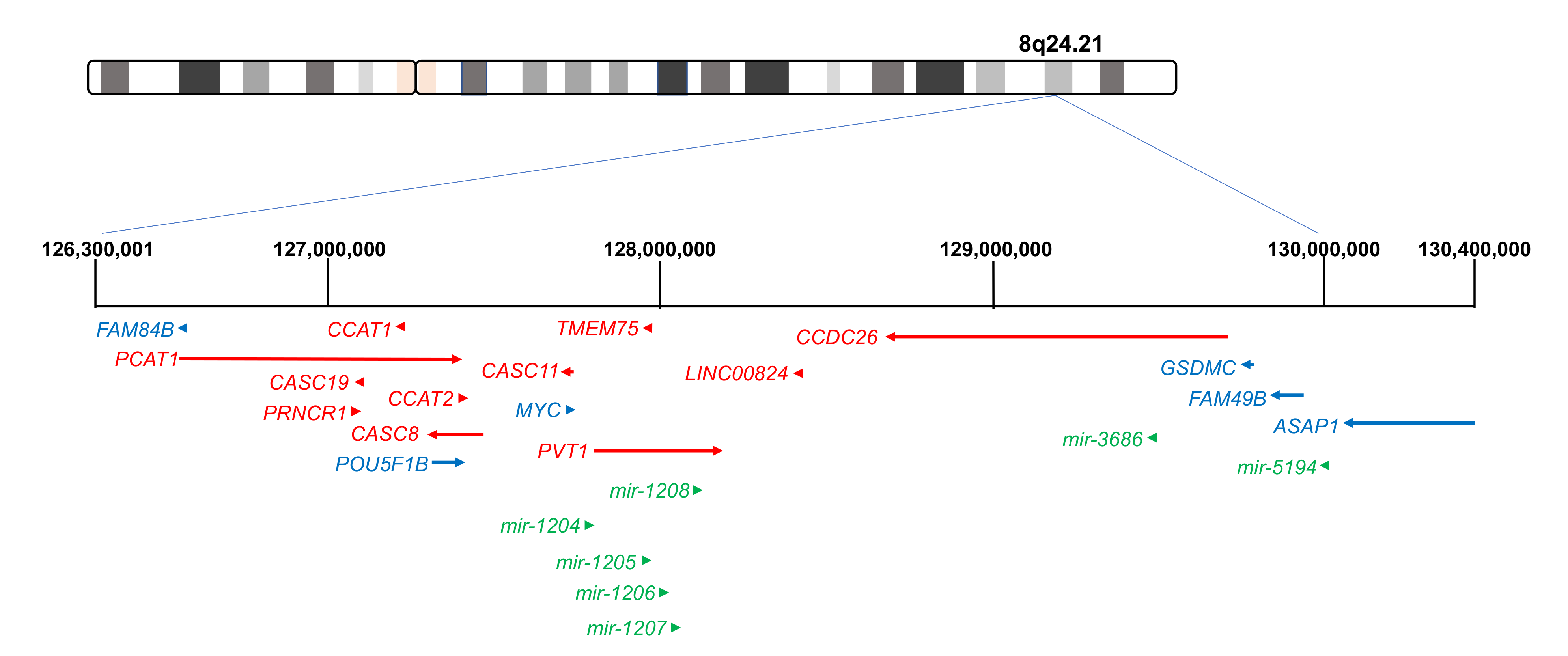 Ijms 22 01094 g002 Ijms 22 01094 g002