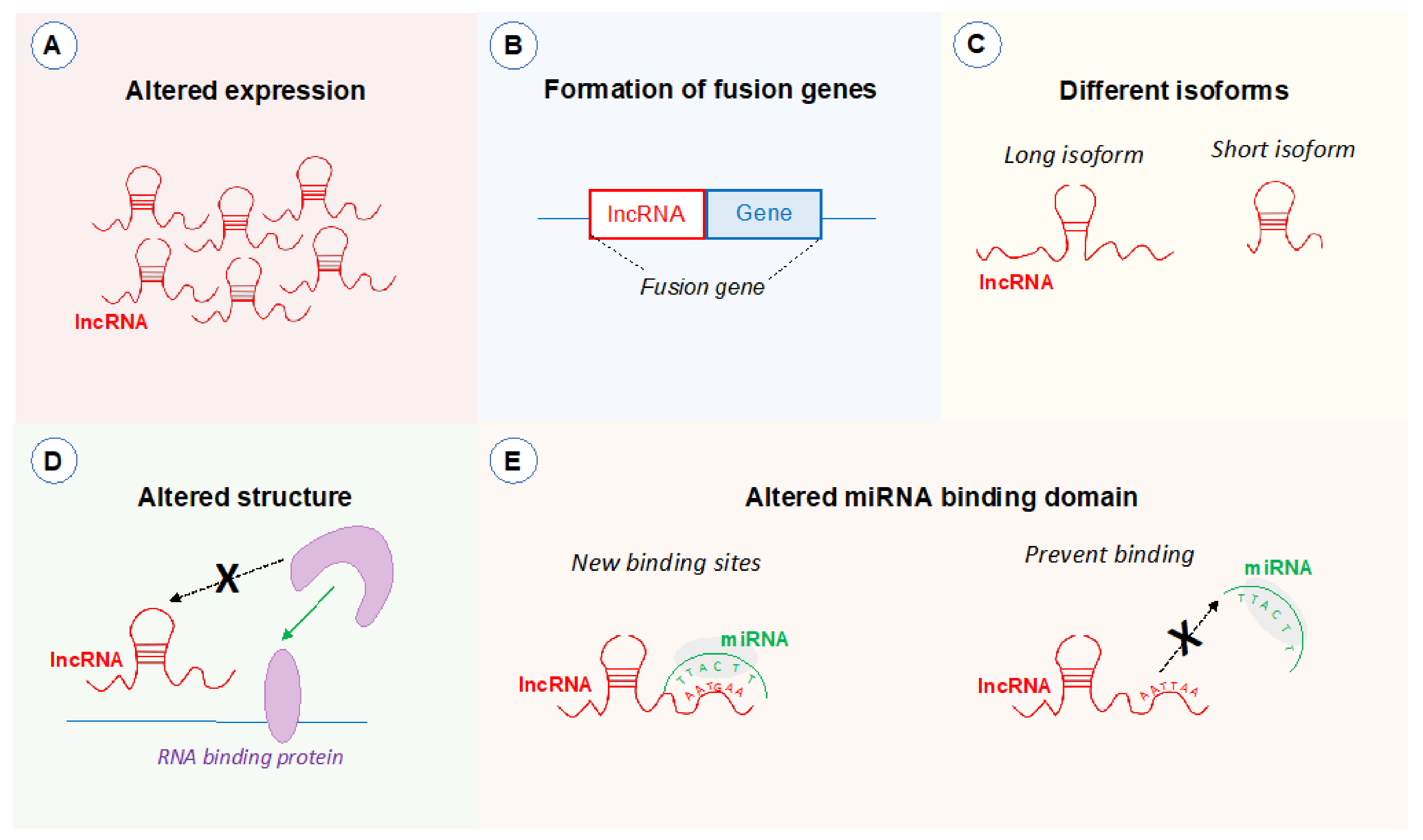 Ijms 22 01094 g003 Ijms 22 01094 g003