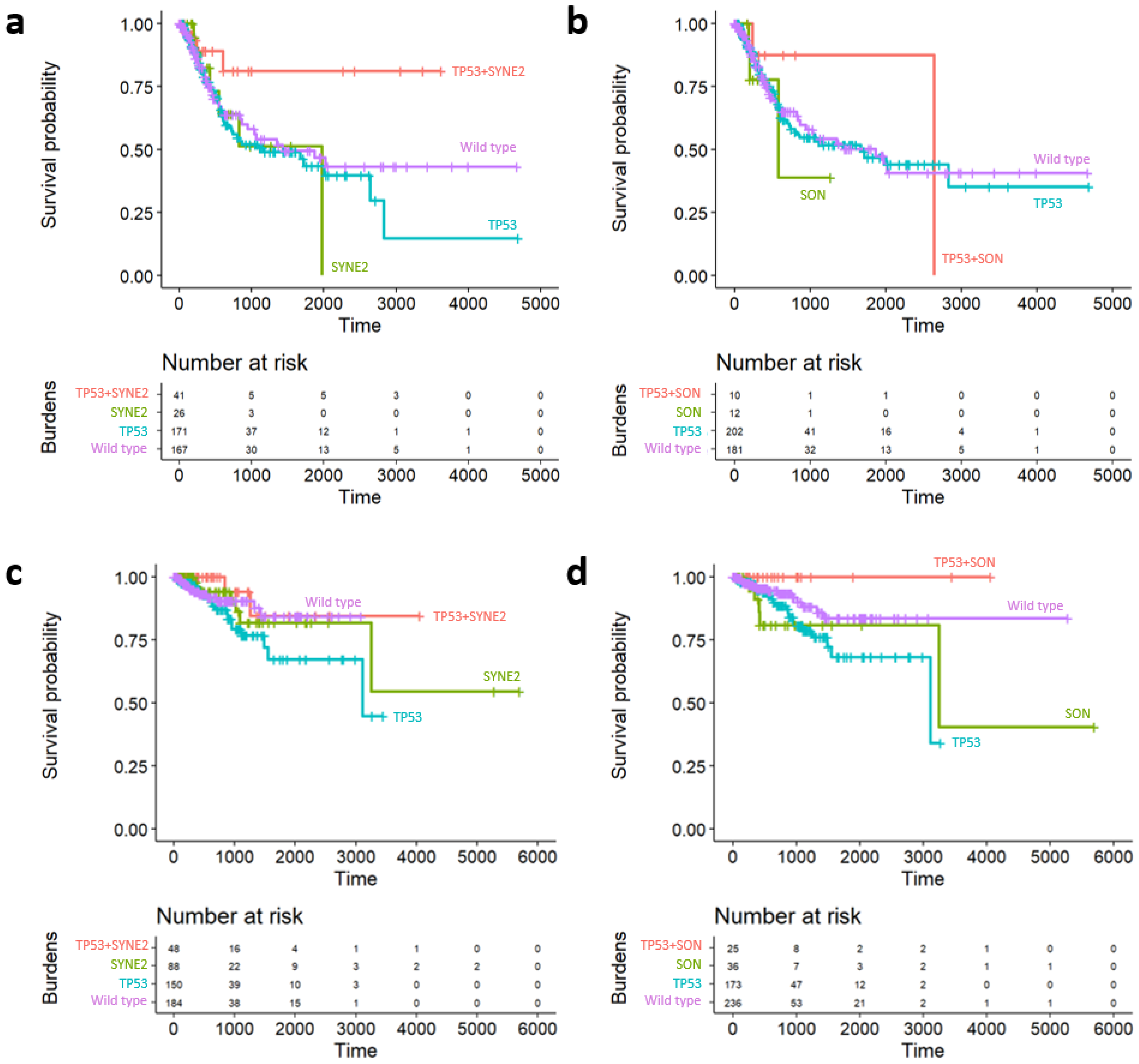 Ijms 22 01097 g006 Ijms 22 01097 g006