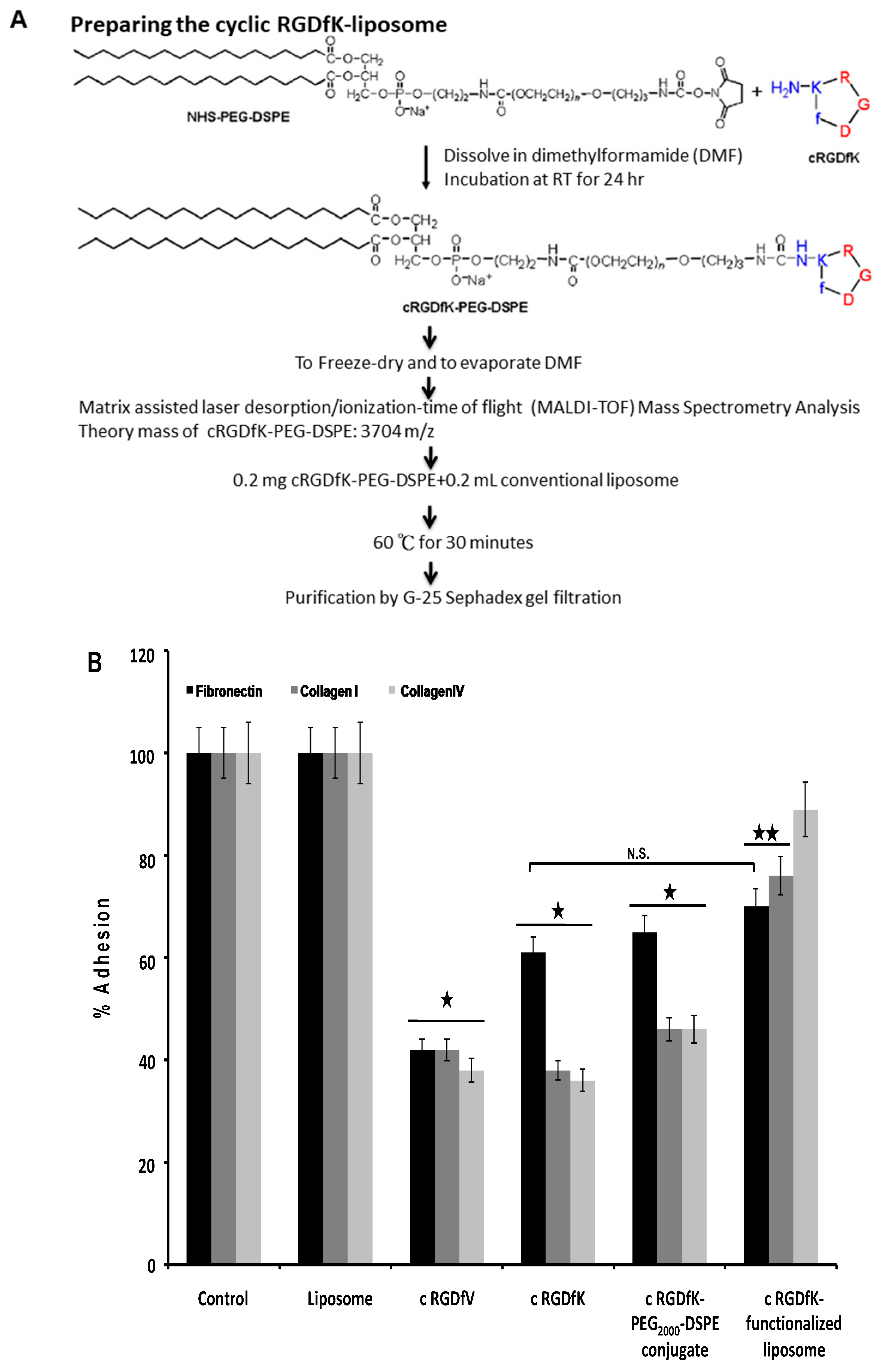 Ijms Free Full Text Evaluation Of Nanotargeted 111in Cyclic Rgdfk Liposome In A Human Melanoma Xenotransplantation Model Html