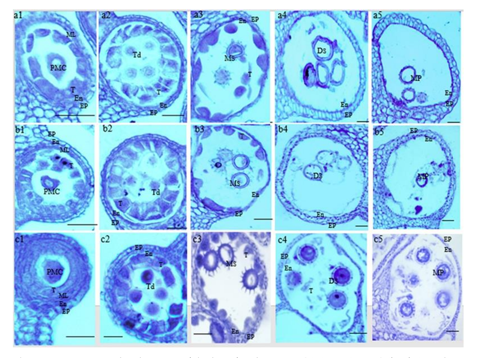 Ijms 22 01107 g002 Ijms 22 01107 g002