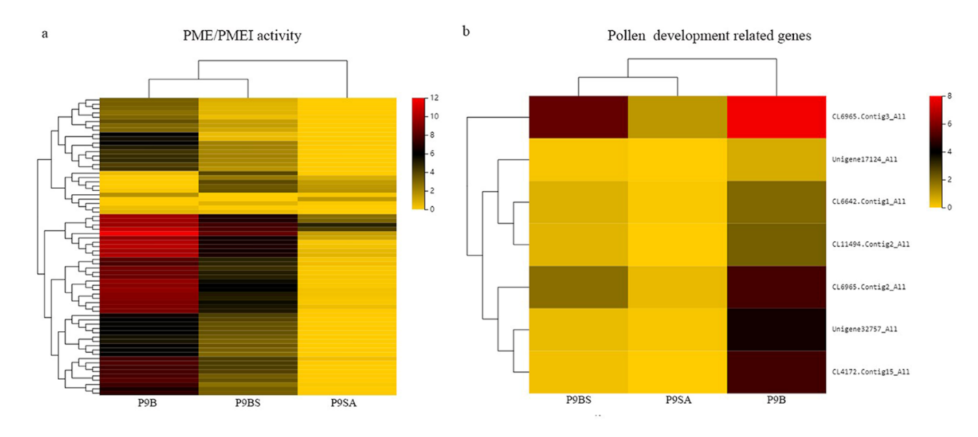 Ijms 22 01107 g008 Ijms 22 01107 g008