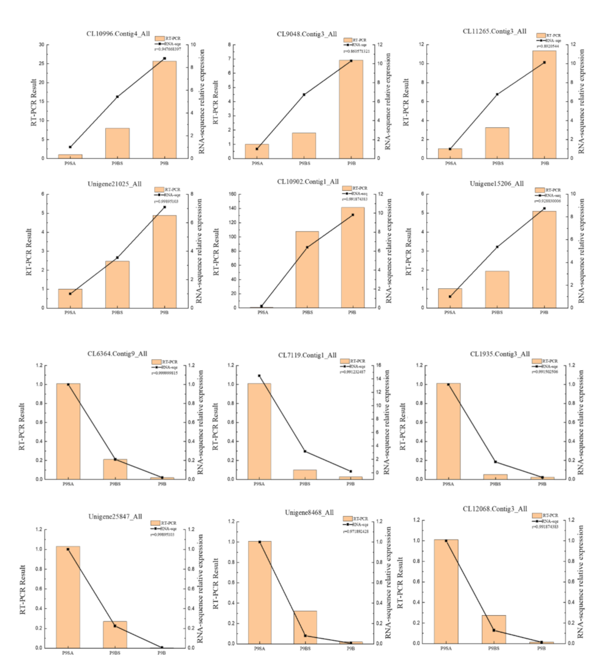 Ijms 22 01107 g010 Ijms 22 01107 g010