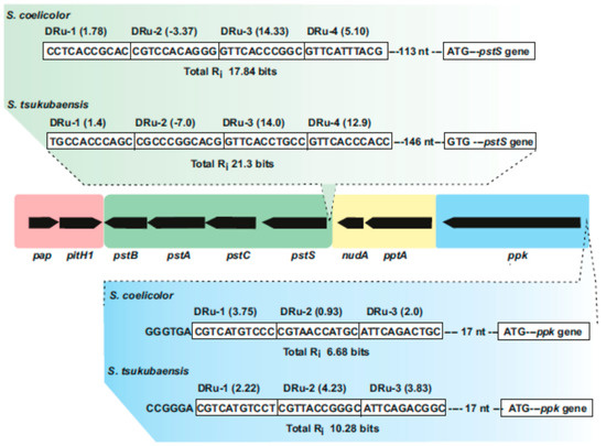 Ijms 22 01129 g002 550