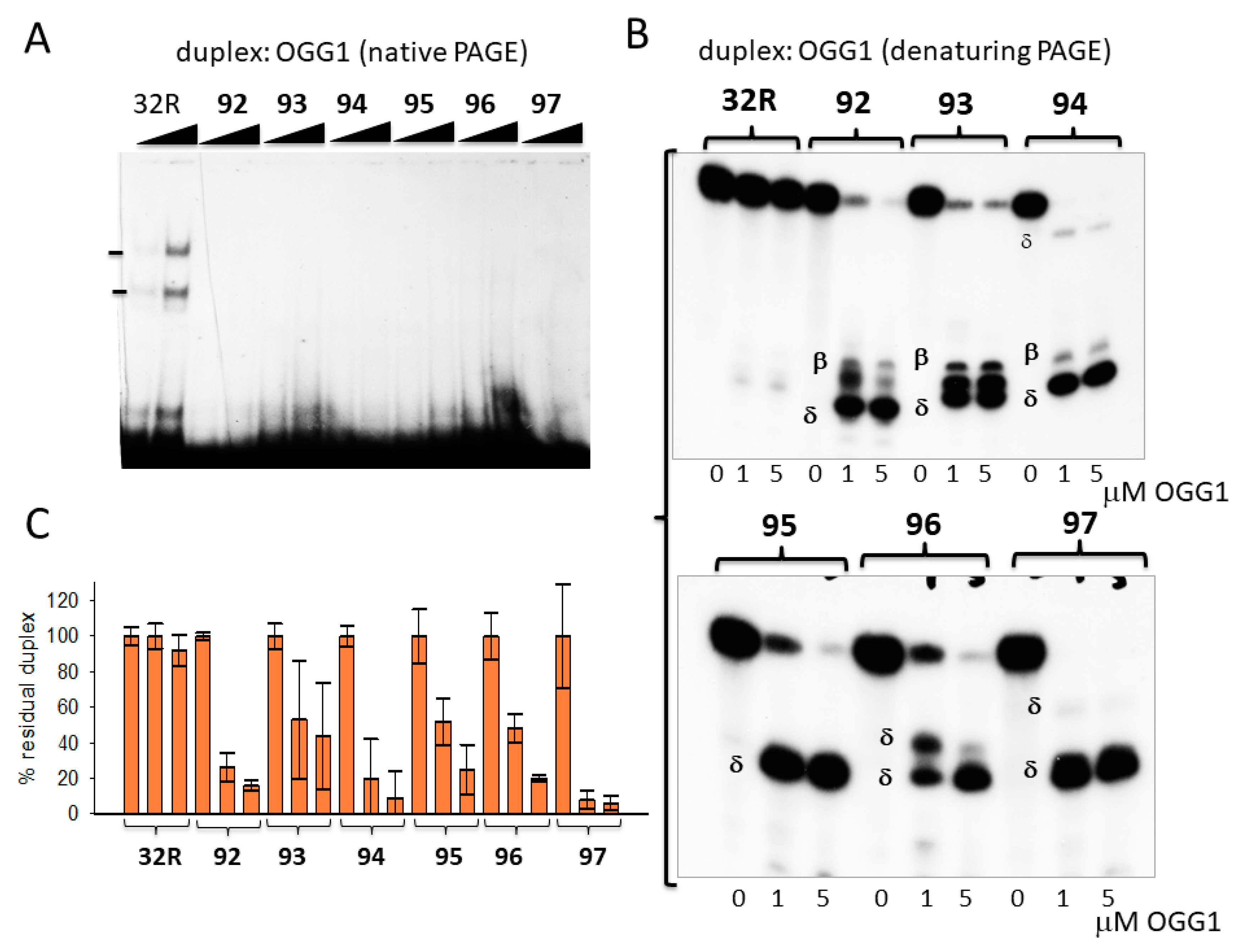 Ijms 22 01137 g002 Ijms 22 01137 g002