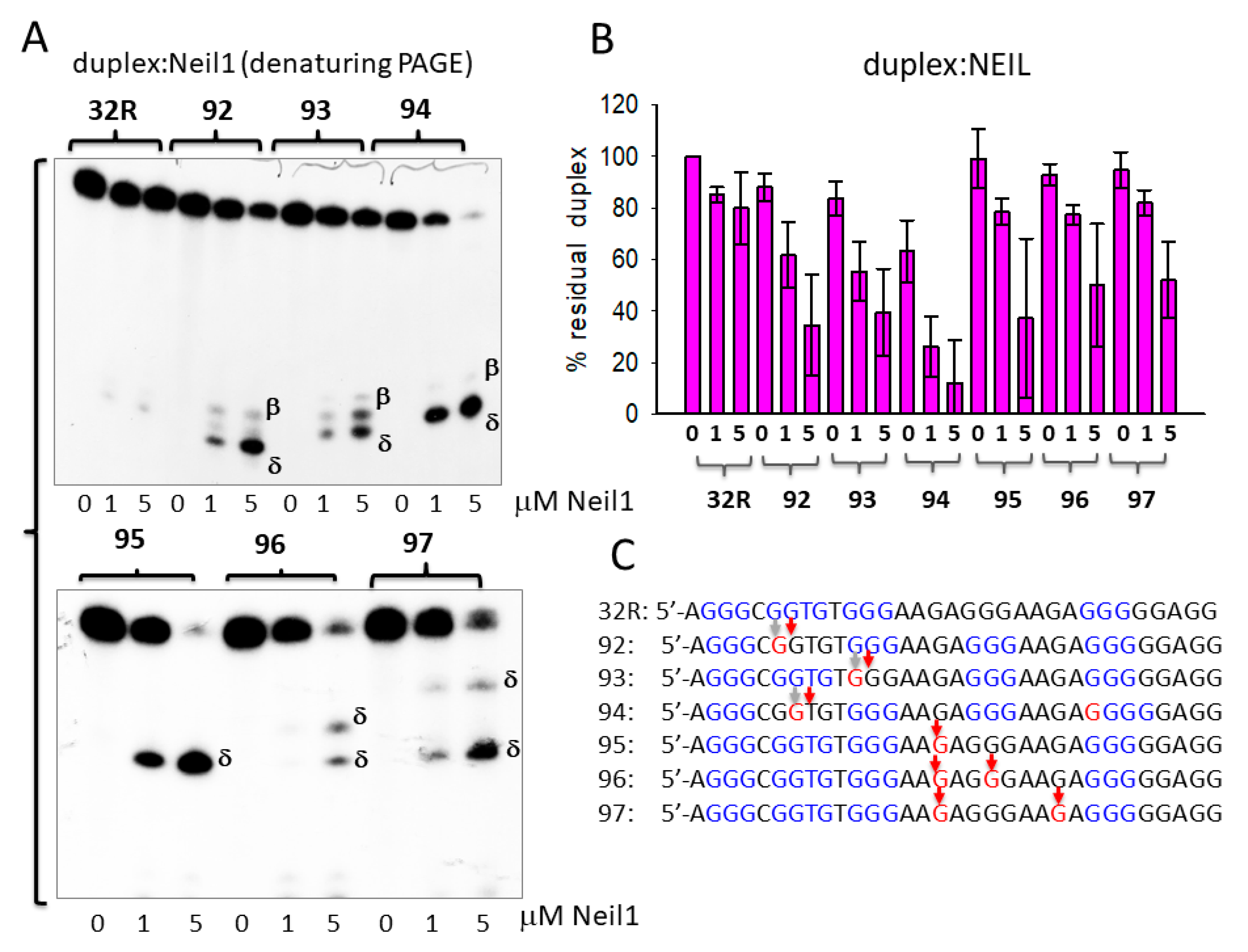 Ijms 22 01137 g003 Ijms 22 01137 g003