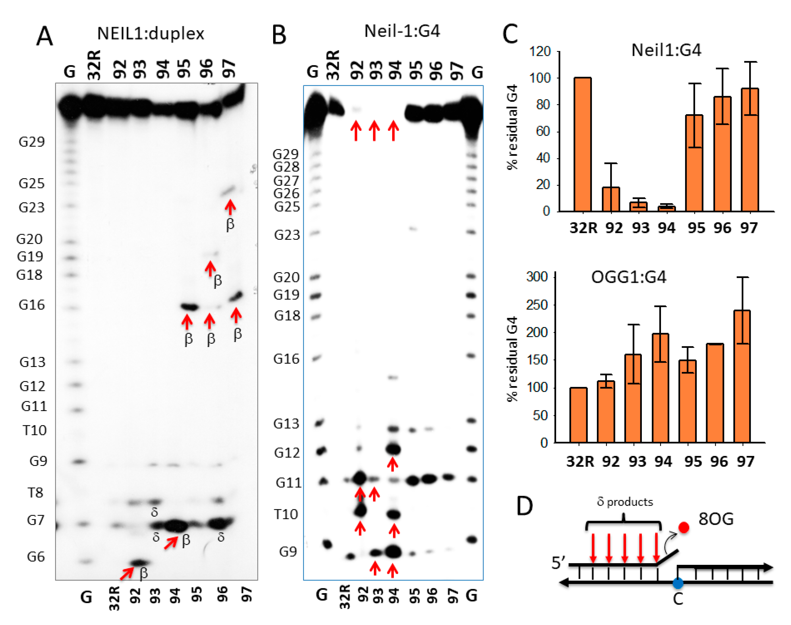 Ijms 22 01137 g005a Ijms 22 01137 g005a