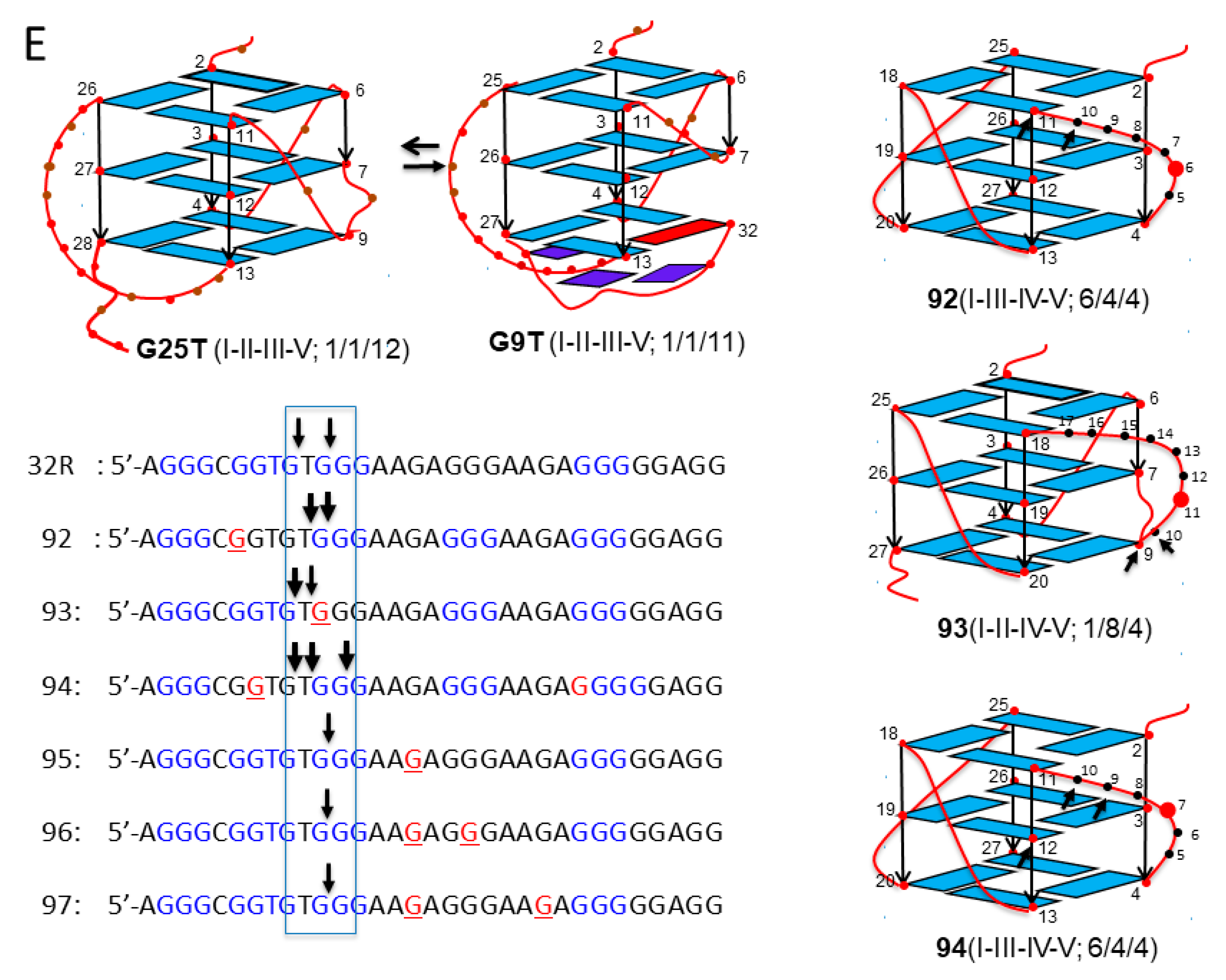Ijms 22 01137 g005b Ijms 22 01137 g005b
