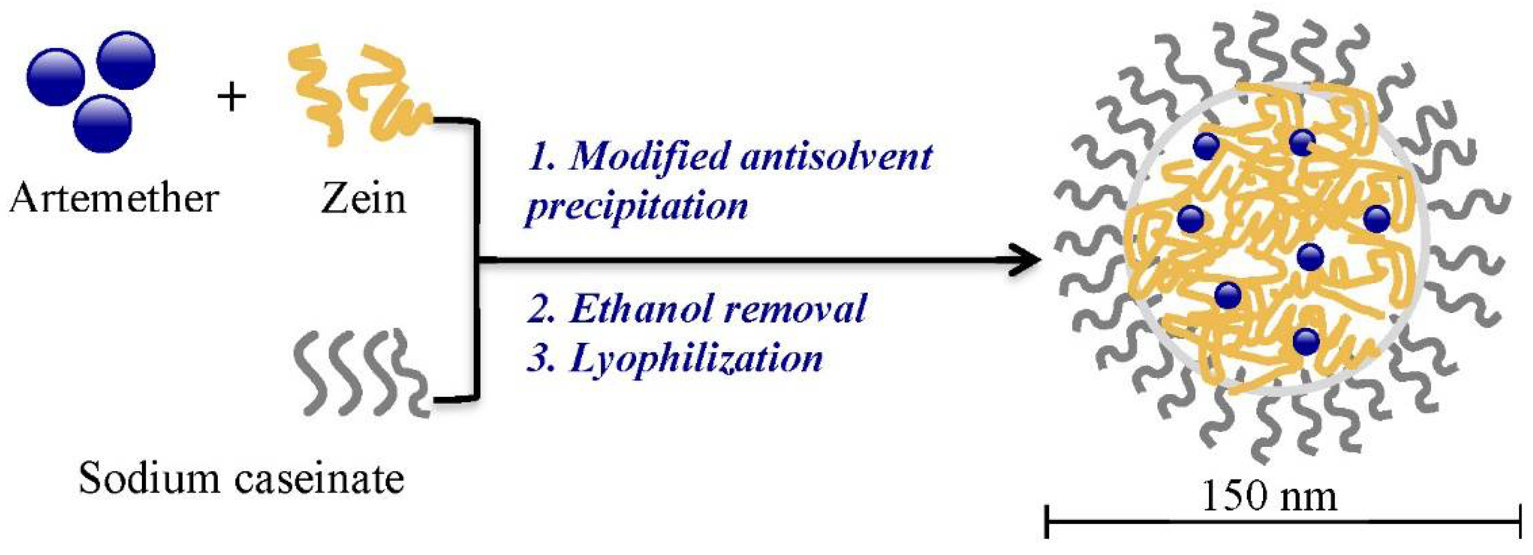 Ijms 22 01141 g002 Ijms 22 01141 g002