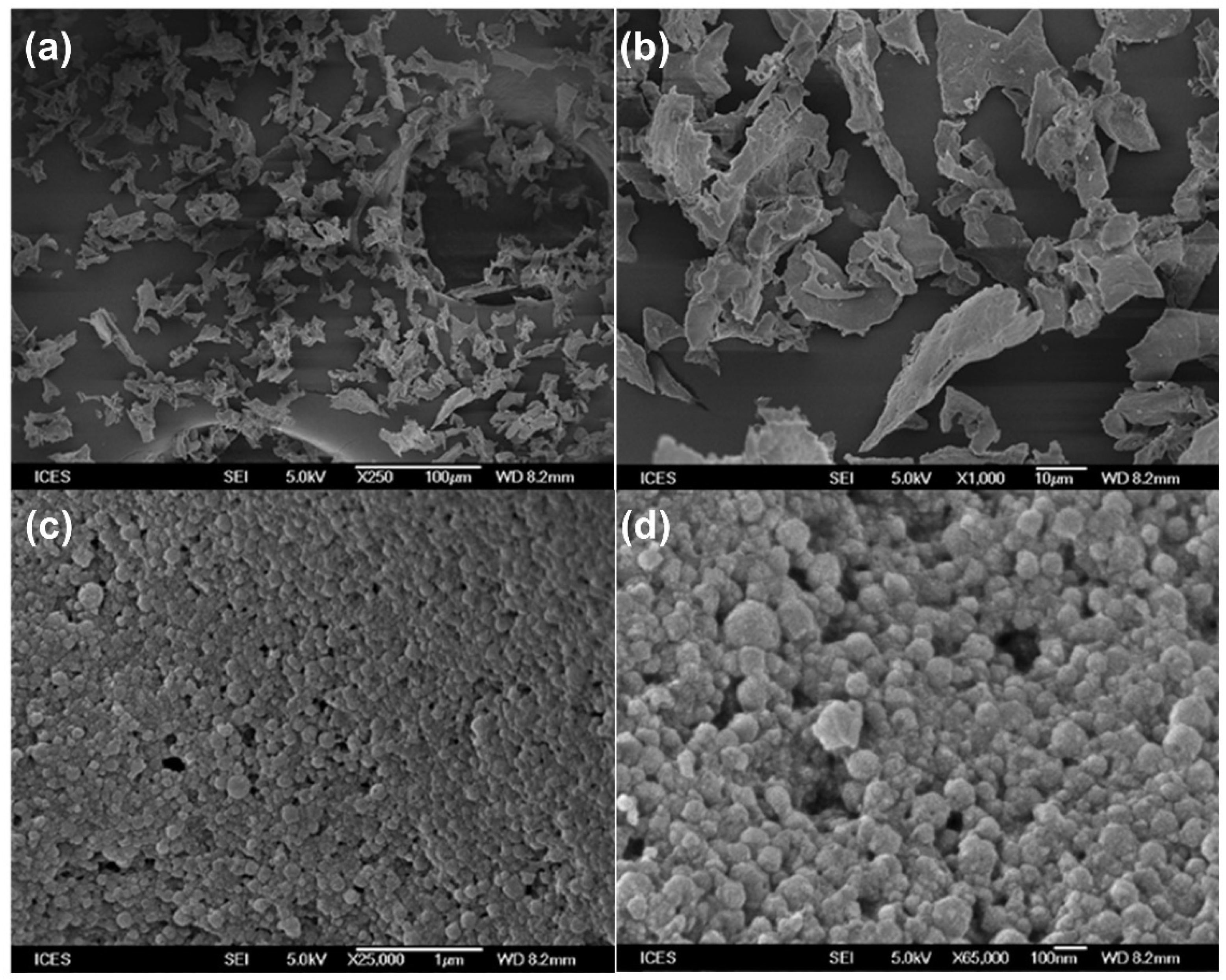 Ijms 22 01141 g006 Ijms 22 01141 g006