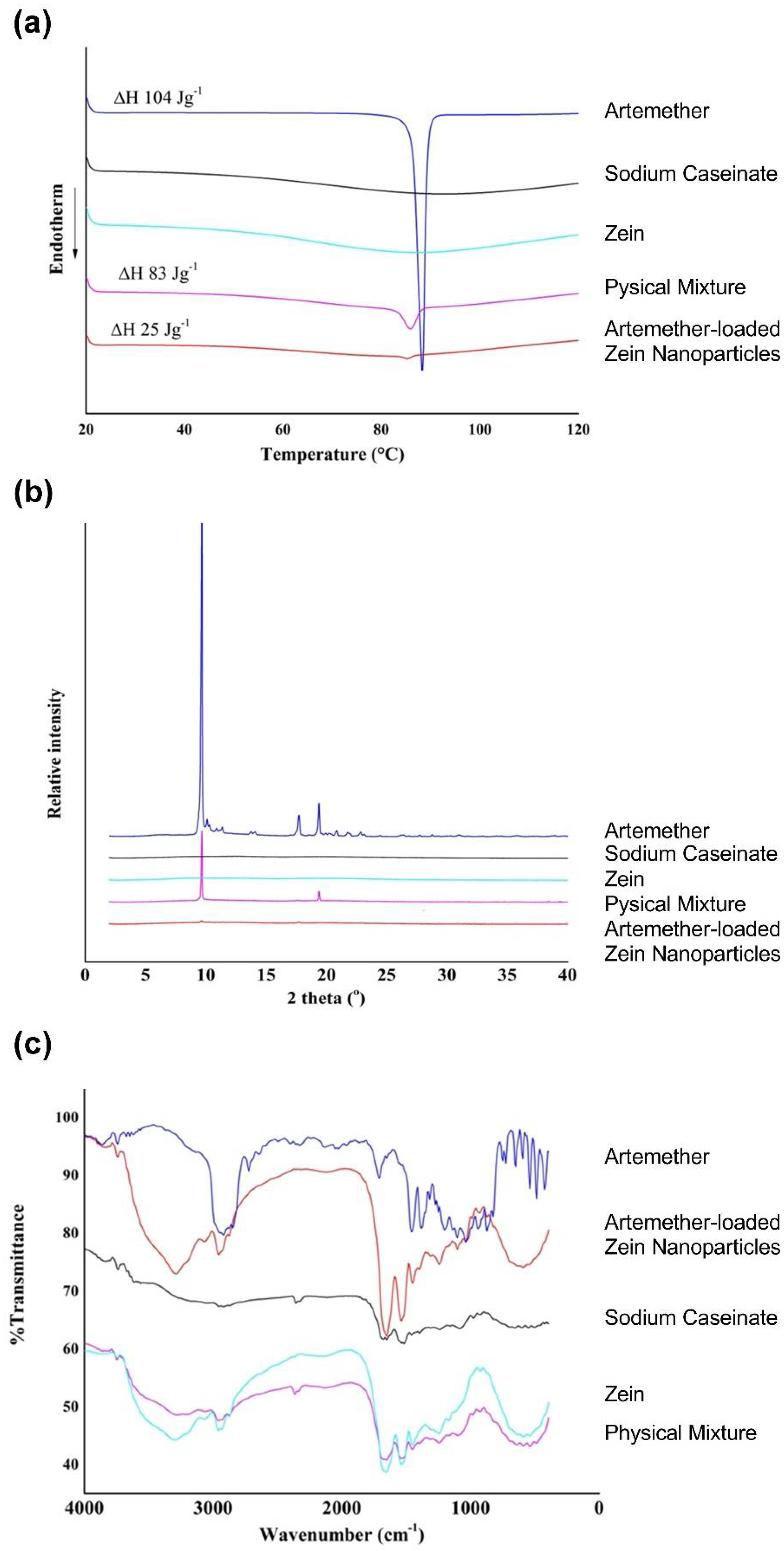 Ijms 22 01141 g007 Ijms 22 01141 g007