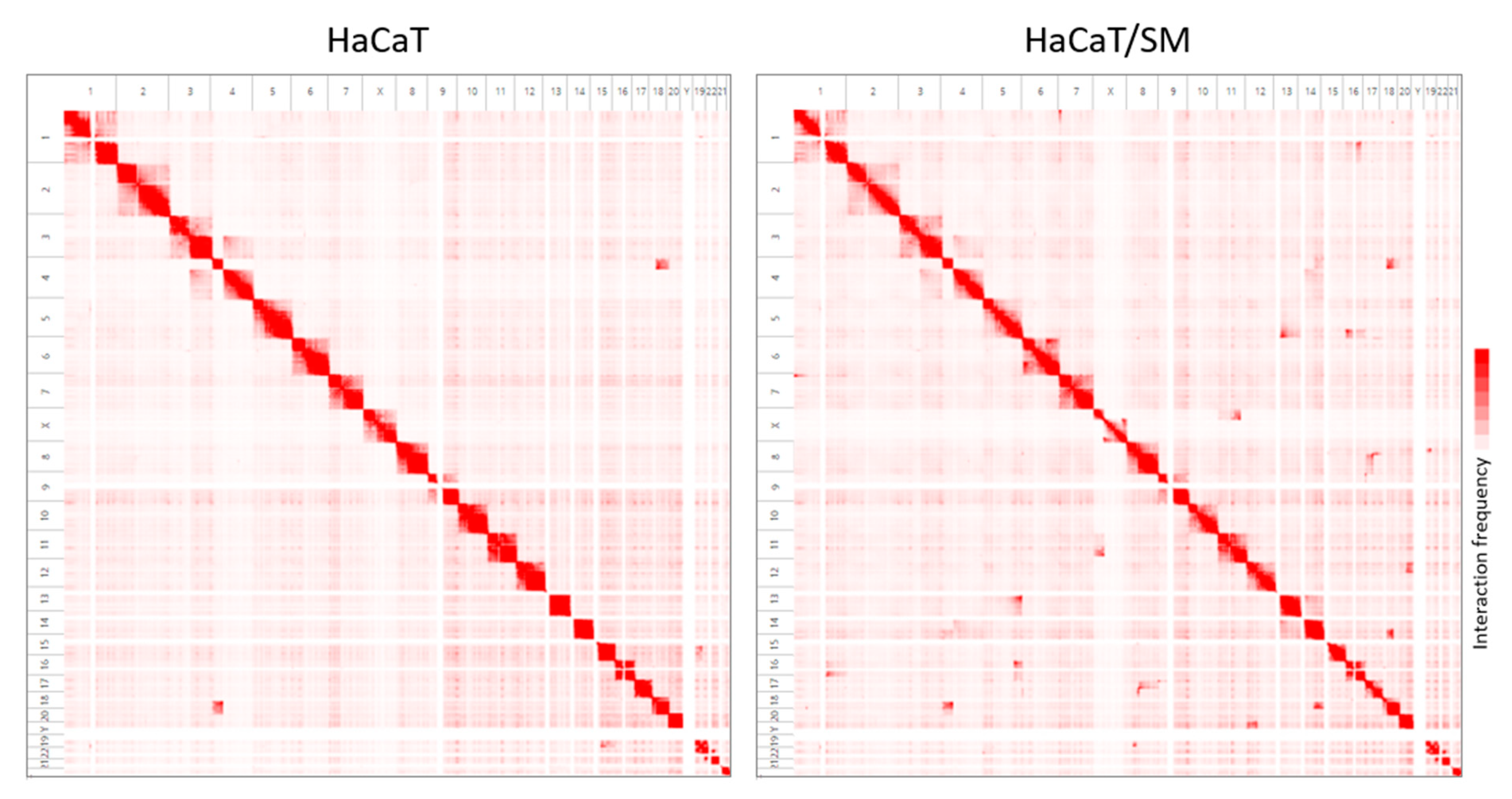 Ijms 22 01146 g003 Ijms 22 01146 g003